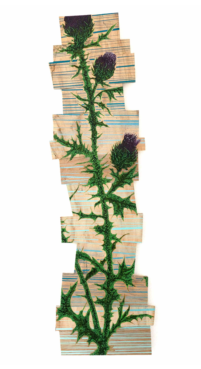 Middlebrook_Bein_green_E.png