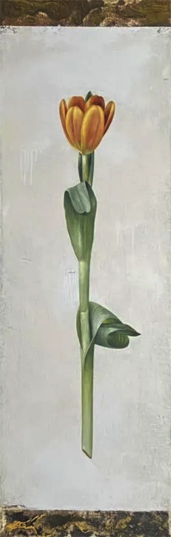 Baker_Botanica_E.png