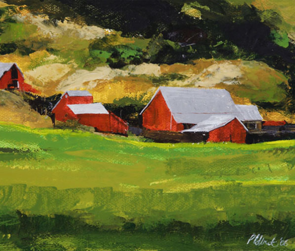 Artist Spotlight: Peter Colbert
