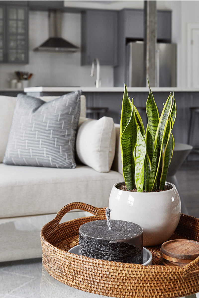 Toronto-Interior-Decorator-East-Toronto-Home (2).png