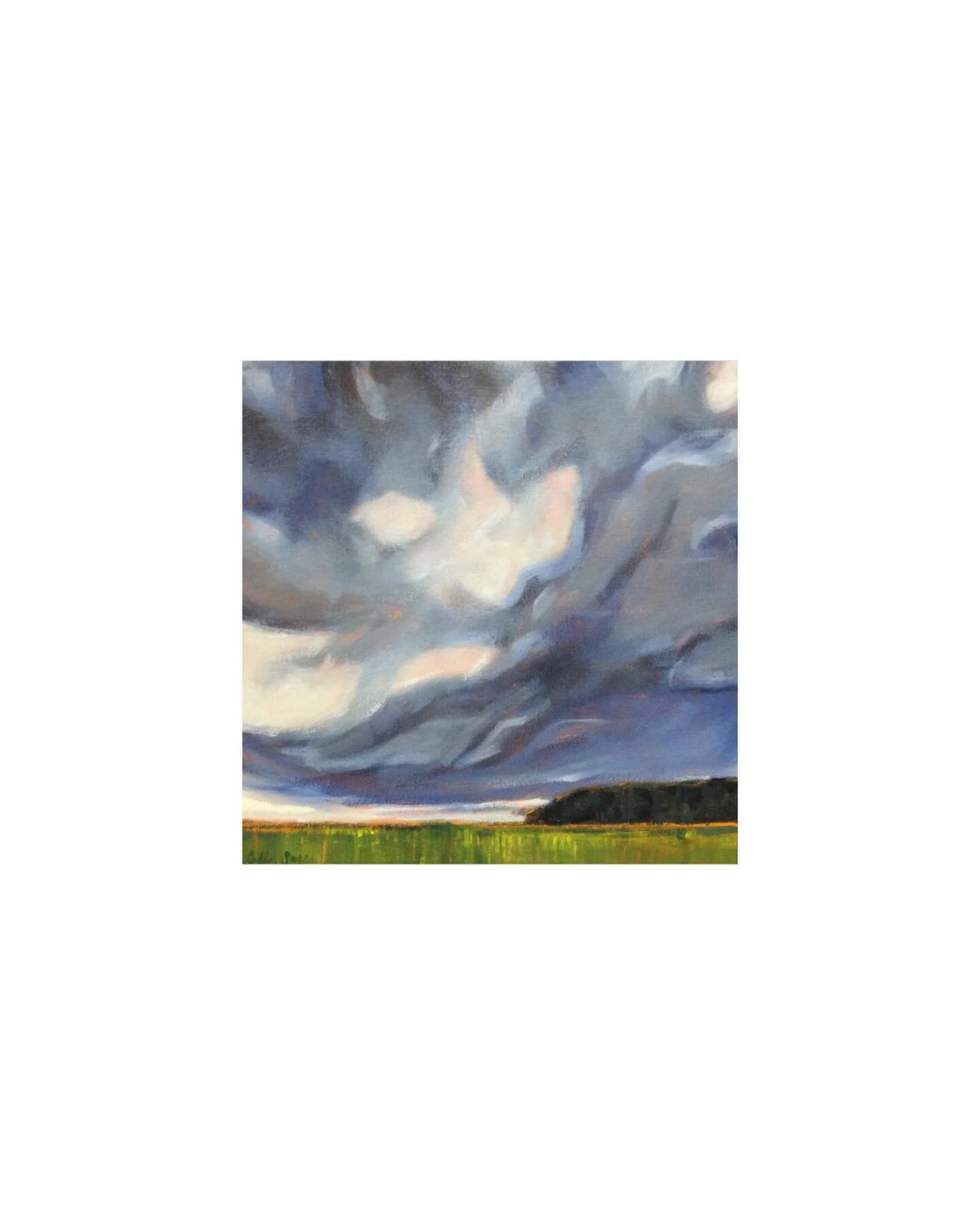 Blog 2 Michelle Binette
