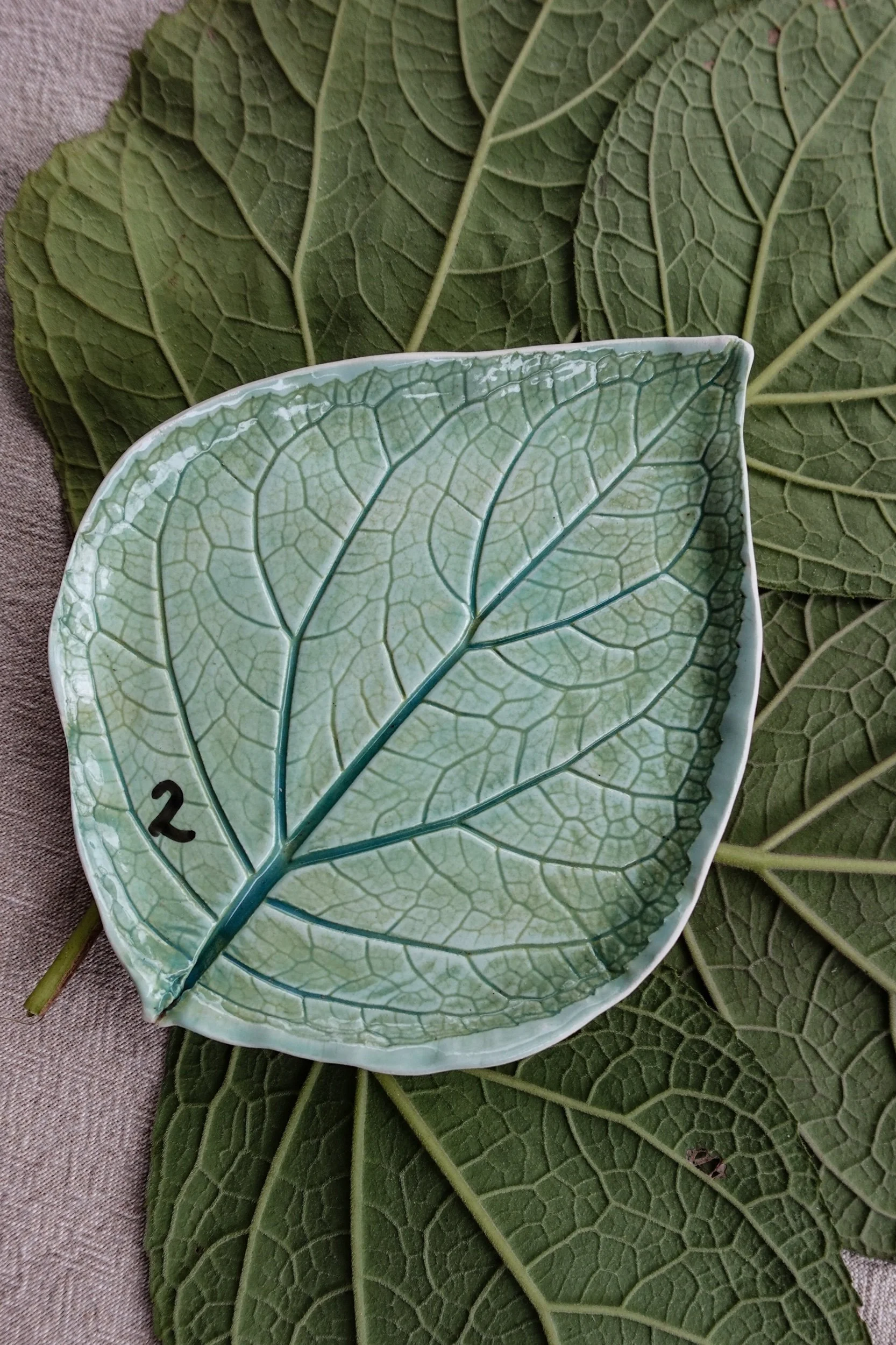 ED84FA72-BCAE-493A-9E1D-A5598564A32E.jpeg