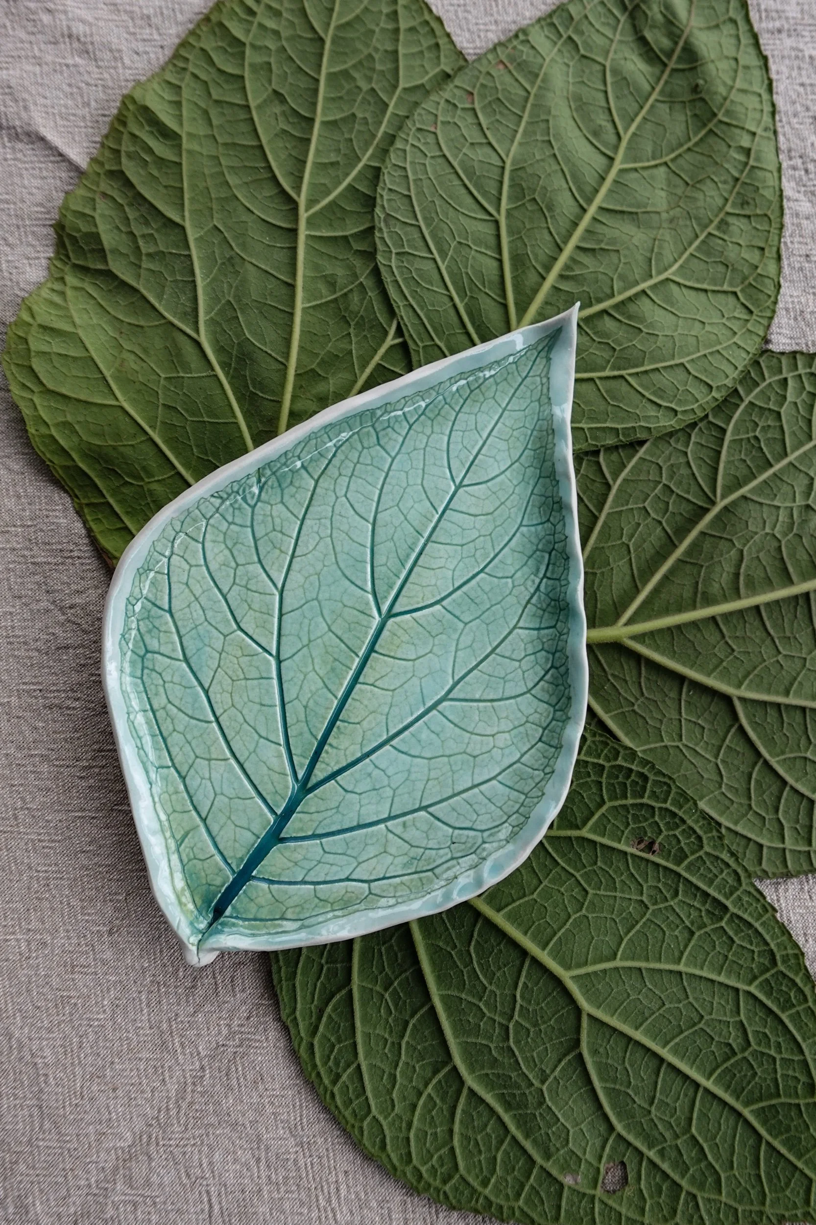 Leaf Plates