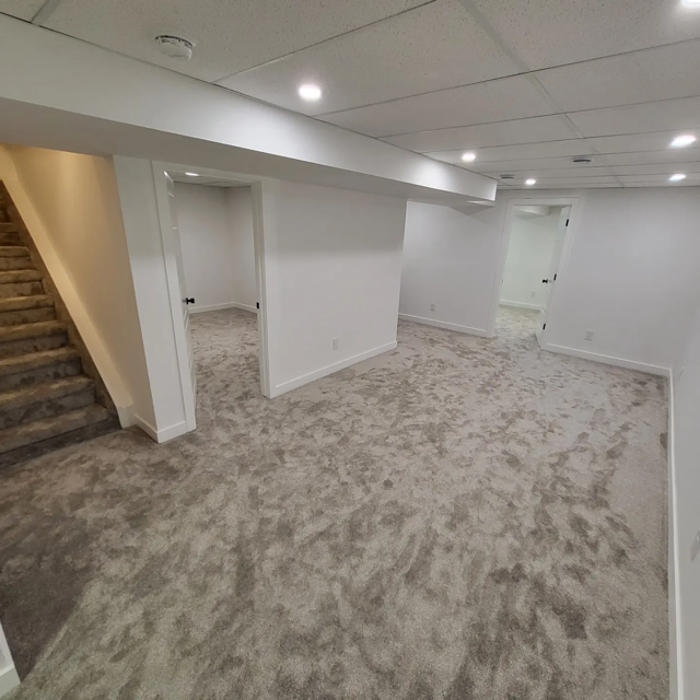 "Petersmeyer" Basement Development