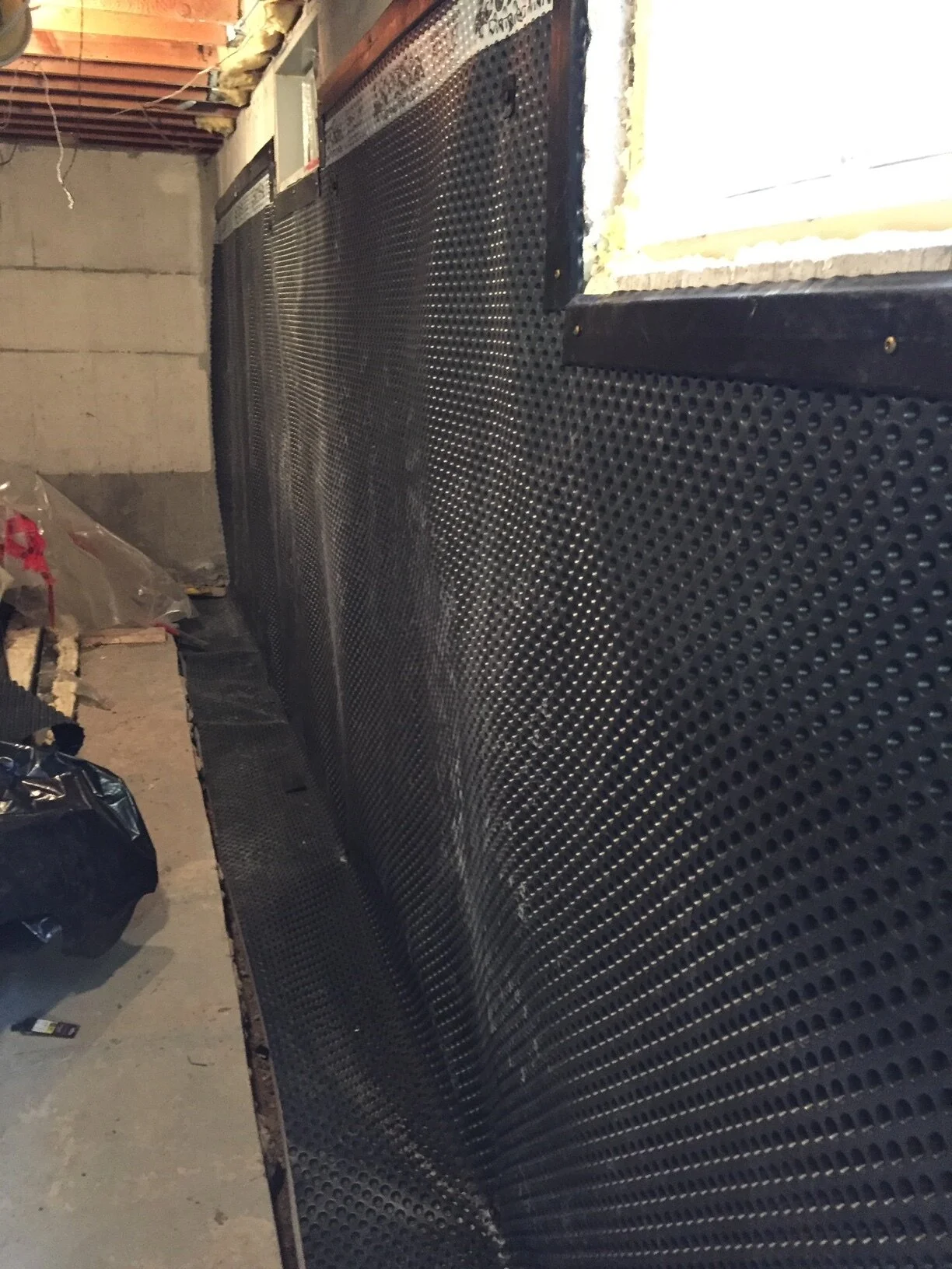 2017-01-19 10.46.18.jpg