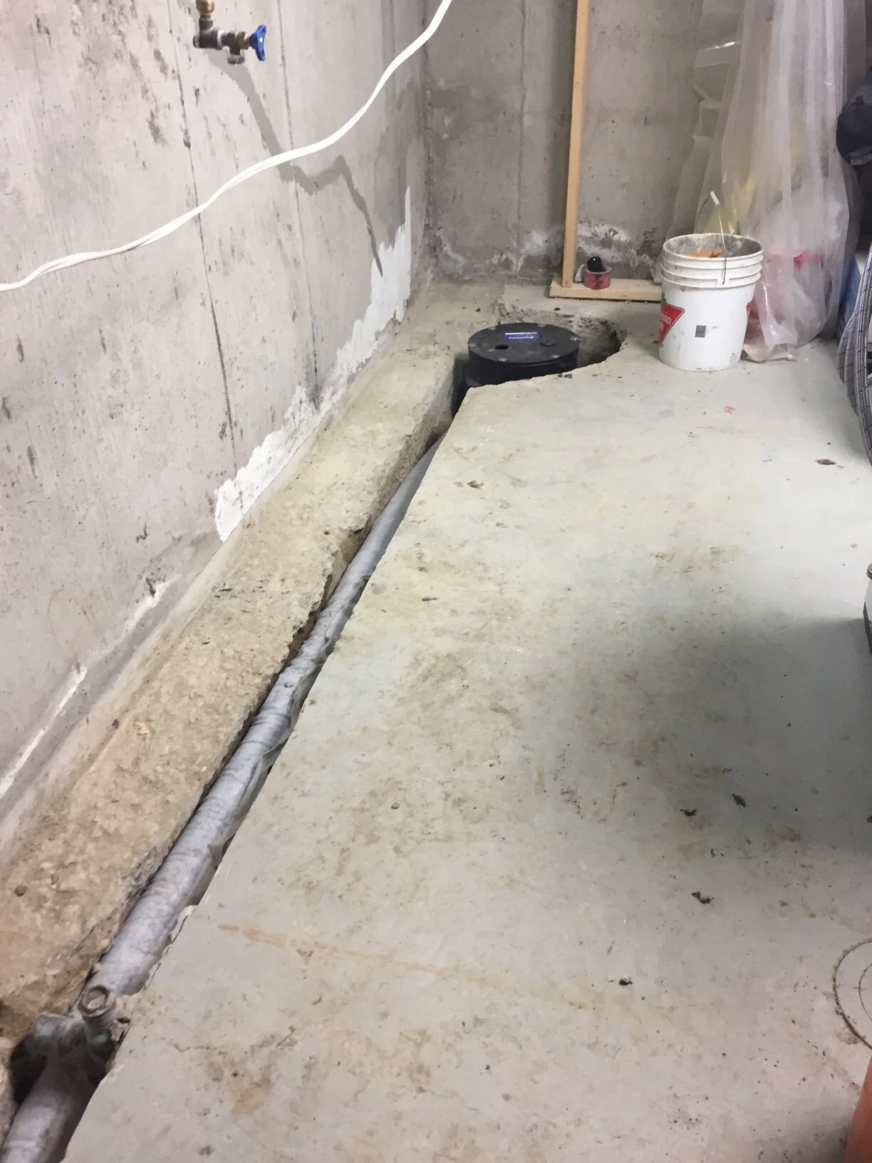 2017-01-18 14.32.46.jpg