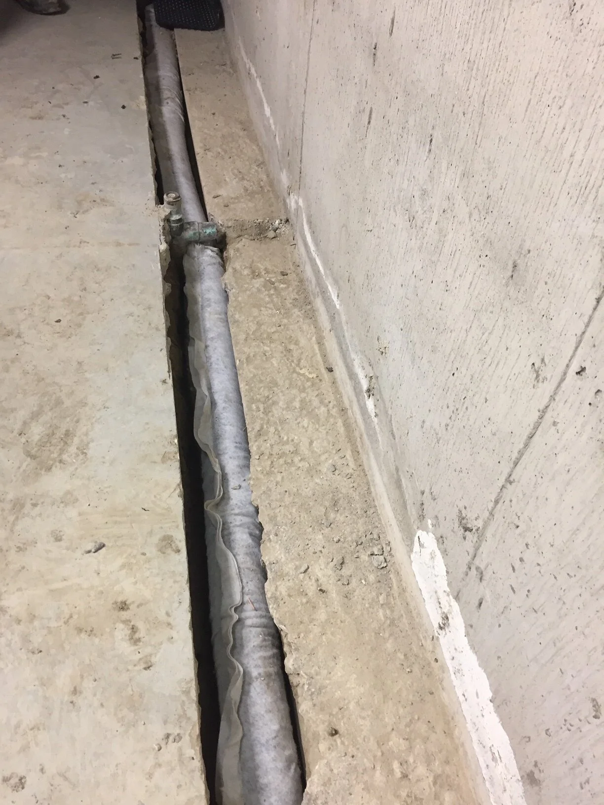 2017-01-18 14.32.55.jpg