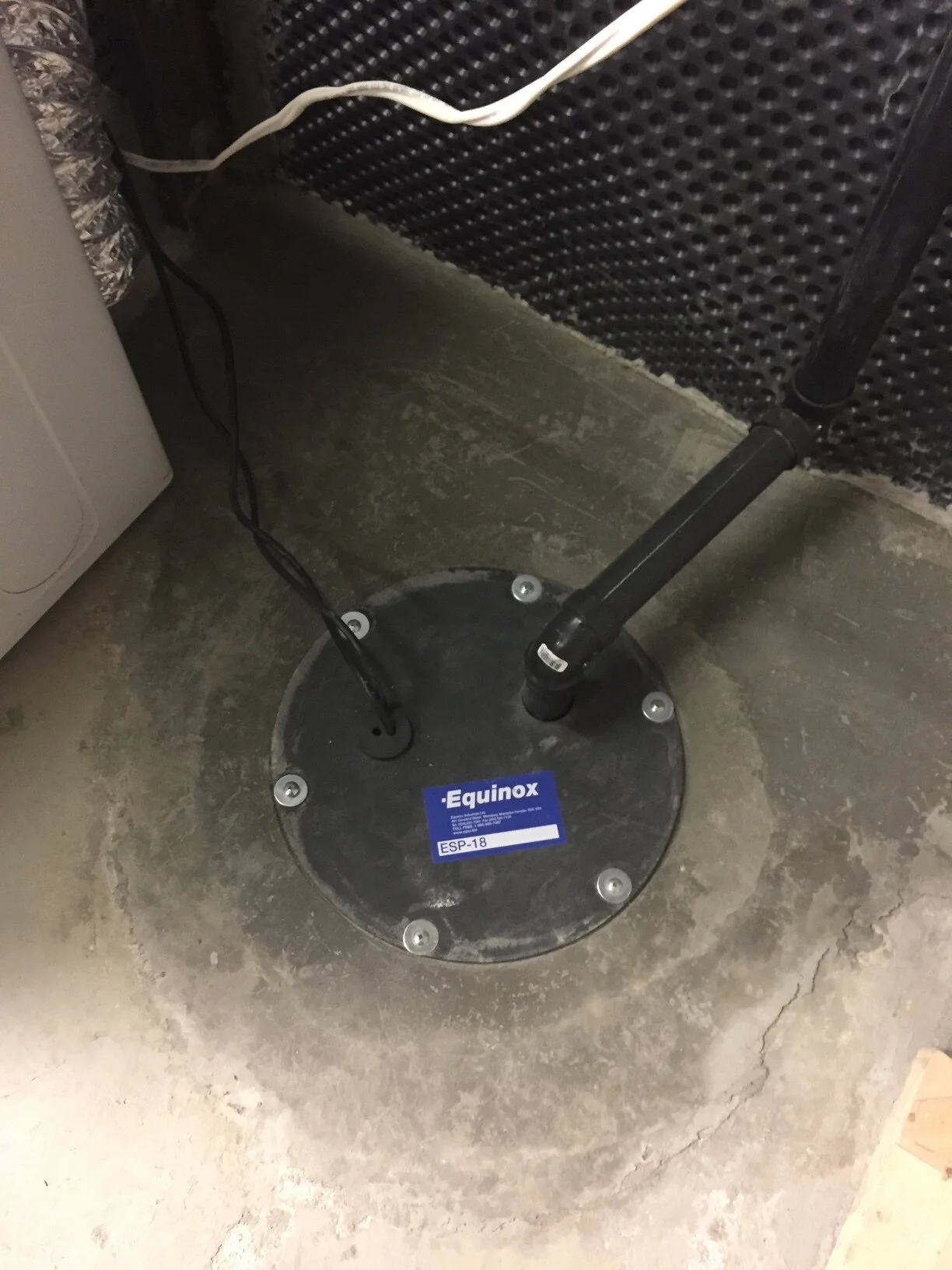 2017-01-26 16.52.16.jpg