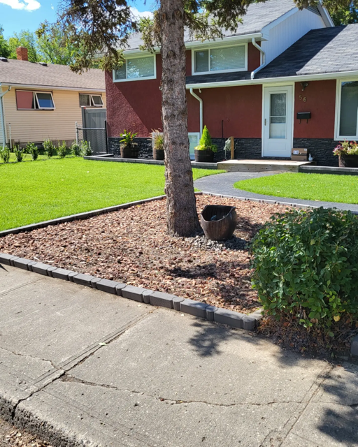 IMG_20220829_172734_249 Medium.png