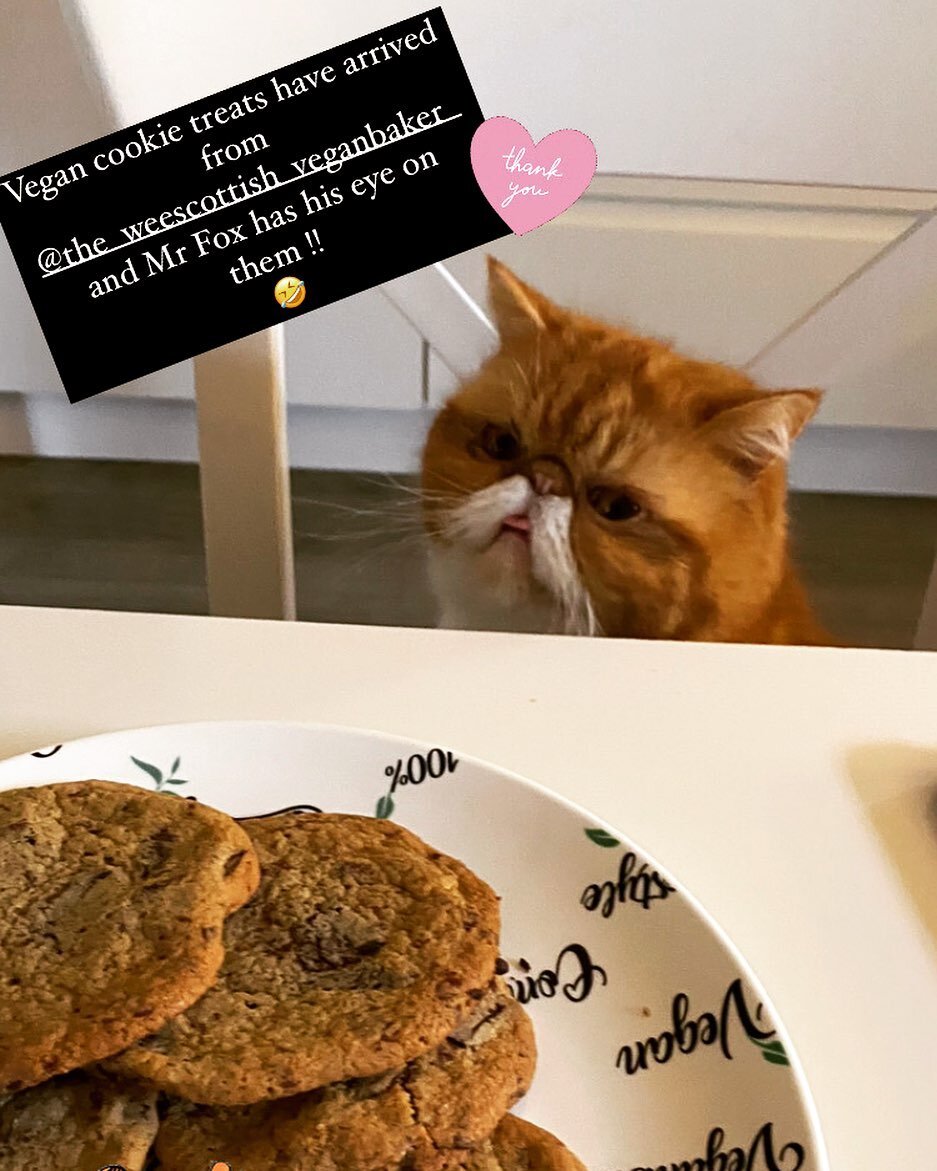 No cookie is safe in this house...🤣