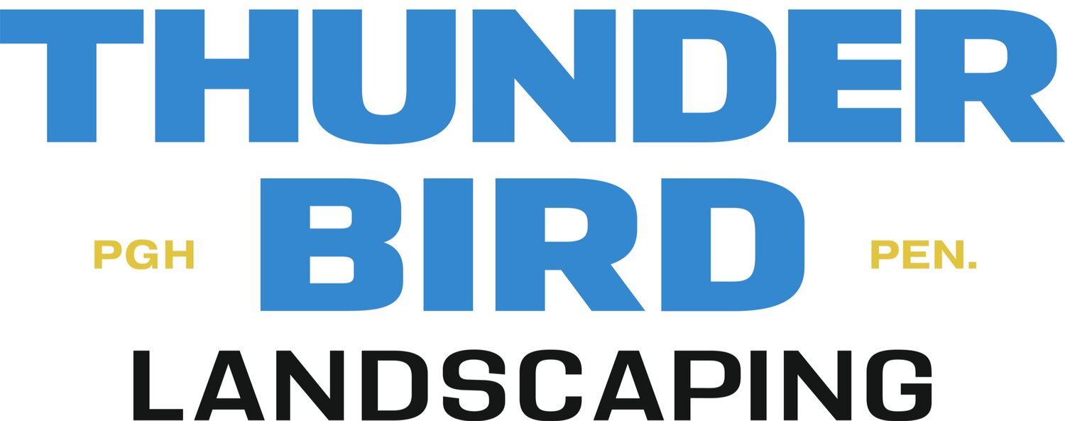 Thunderbird Landscaping