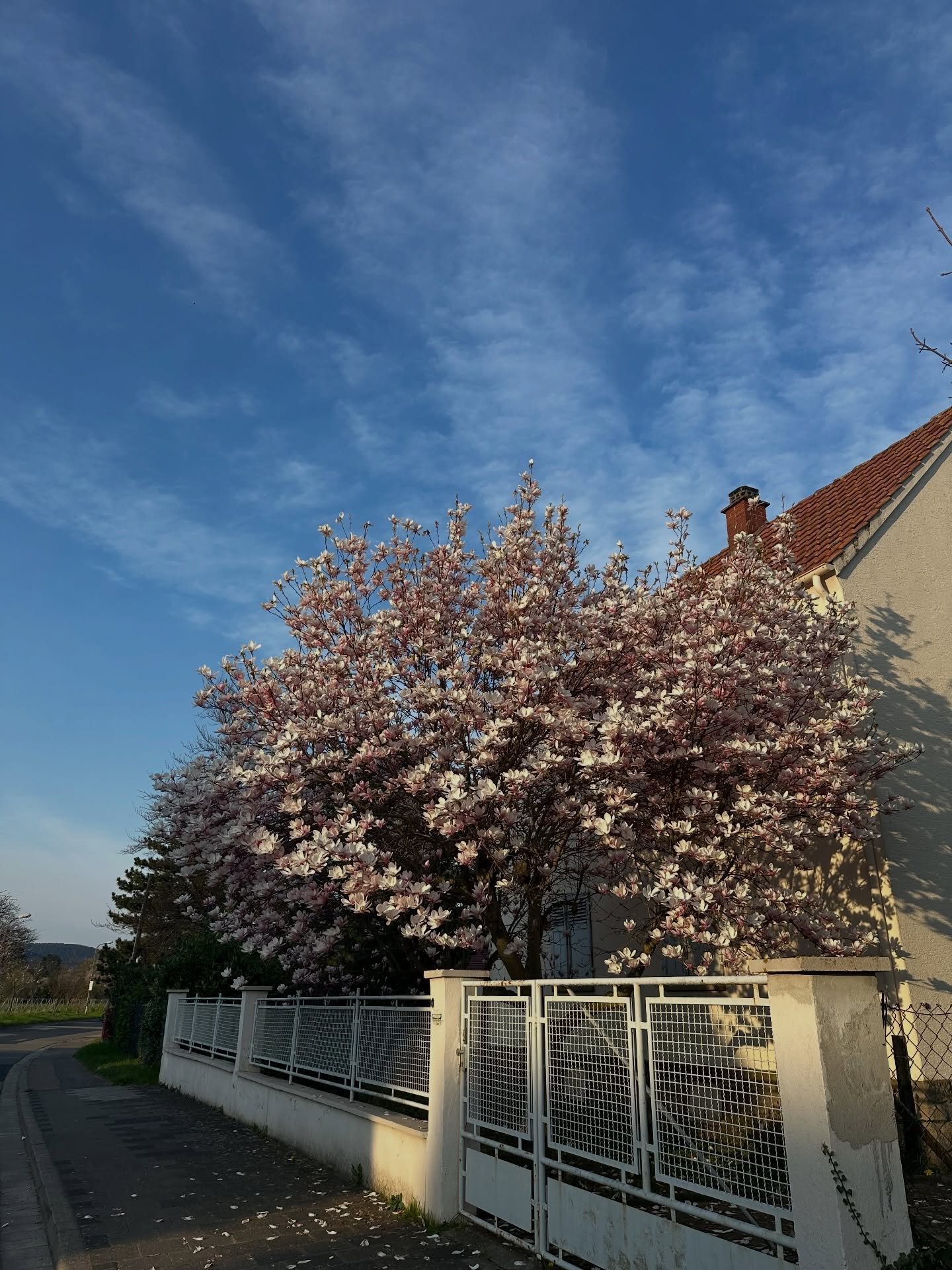 M&auml;rz in paar Bildern, weil ich Lust dazu habe

1. Lieblingsbaum und Lieblingszeit
2. Meine erste Socke! 🧦
3. Zahnreinigung geil, aber auch irgendwie nicht
4. Klassischer Fall von: Hatte null Bock, aber hat sich definitiv gelohnt 
5. Sch&ouml;ns