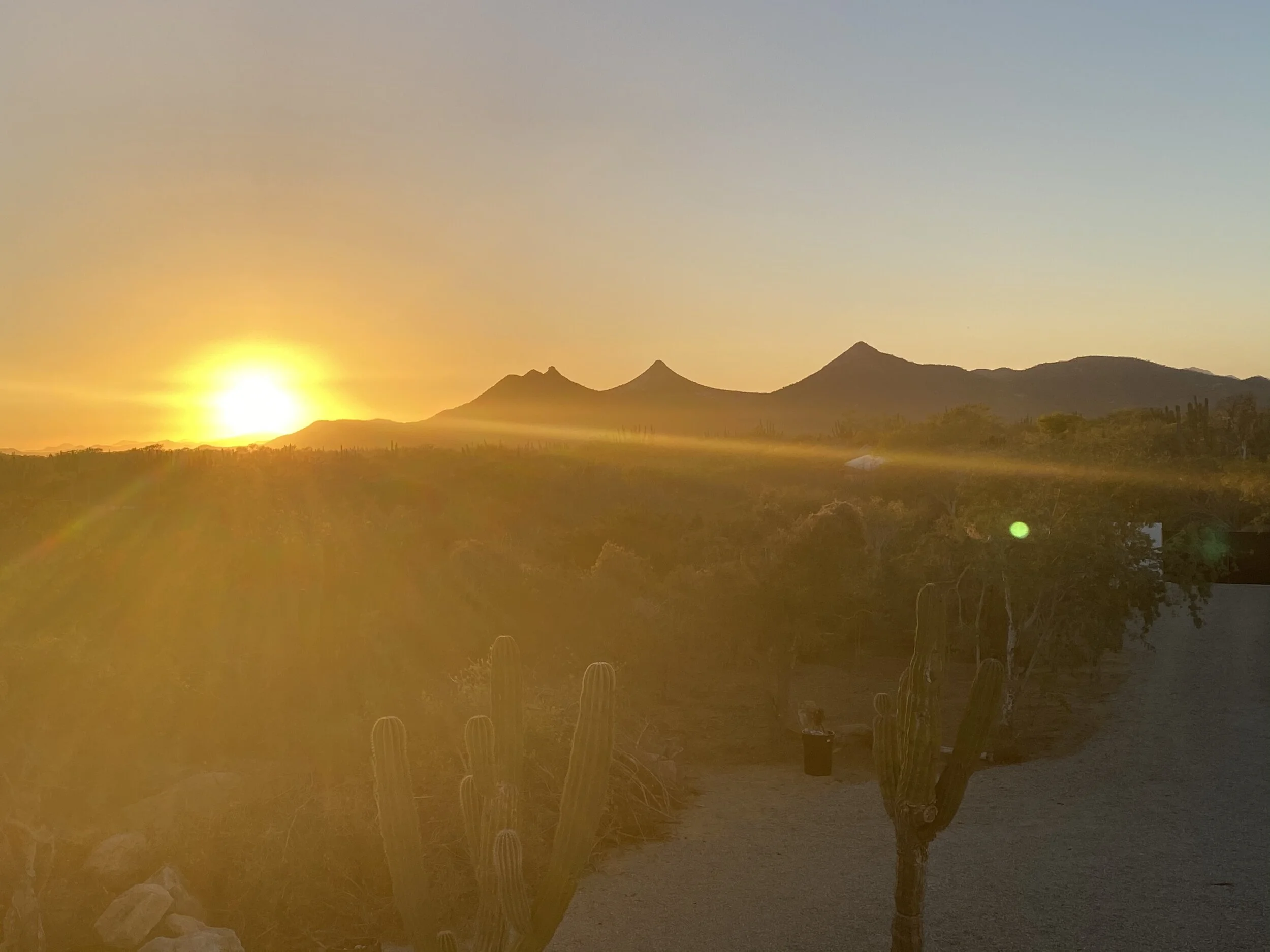Baja Sunset