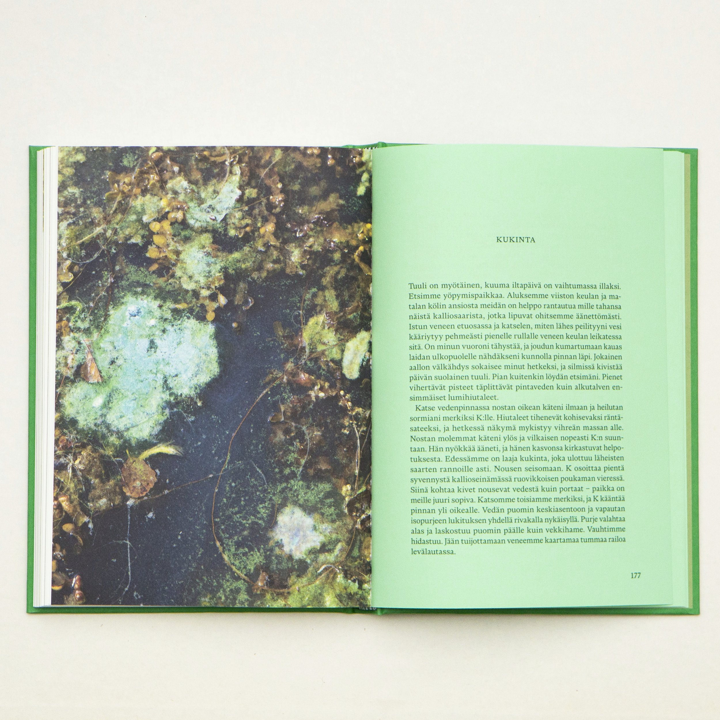Phytopia_Savolainen_12.jpg