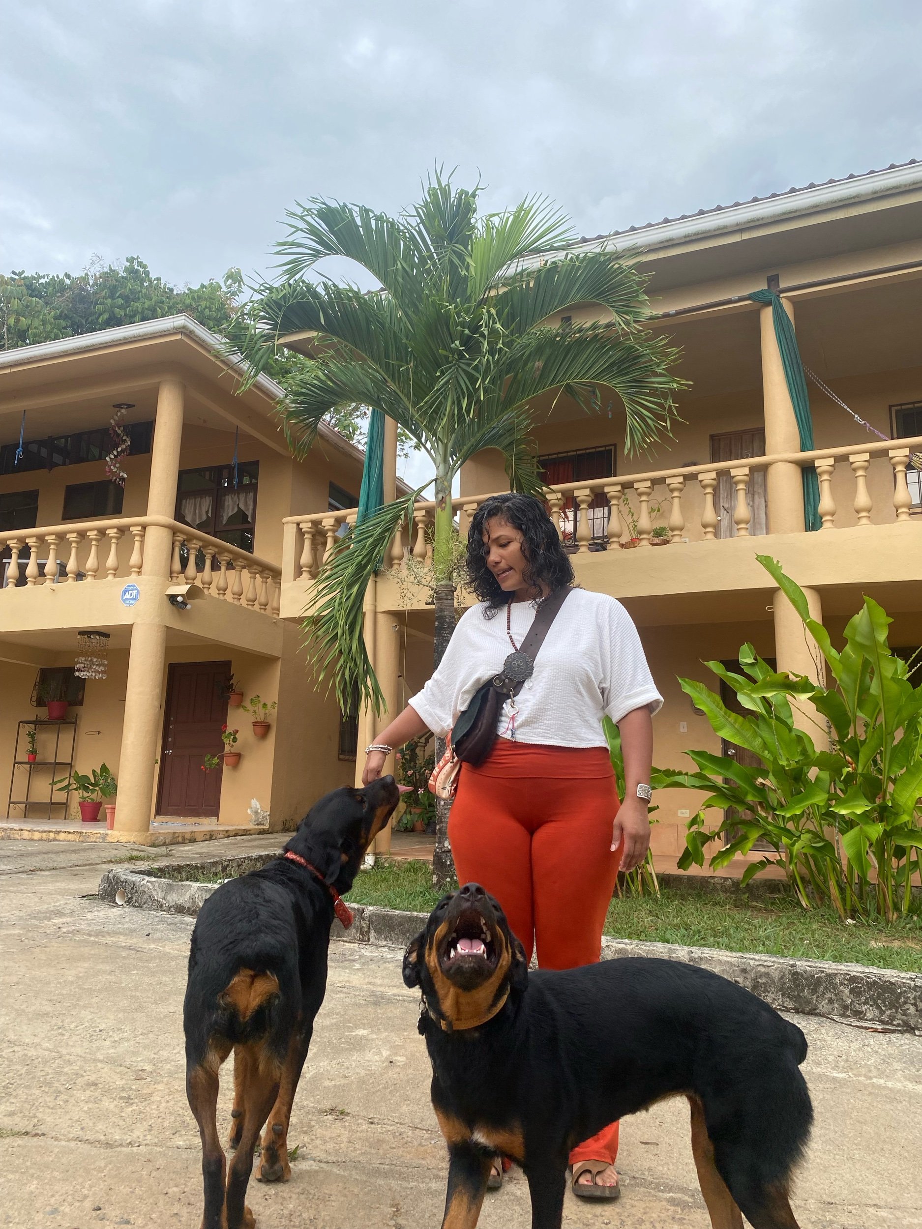 My dog has a better sex life than me…lucky bitch