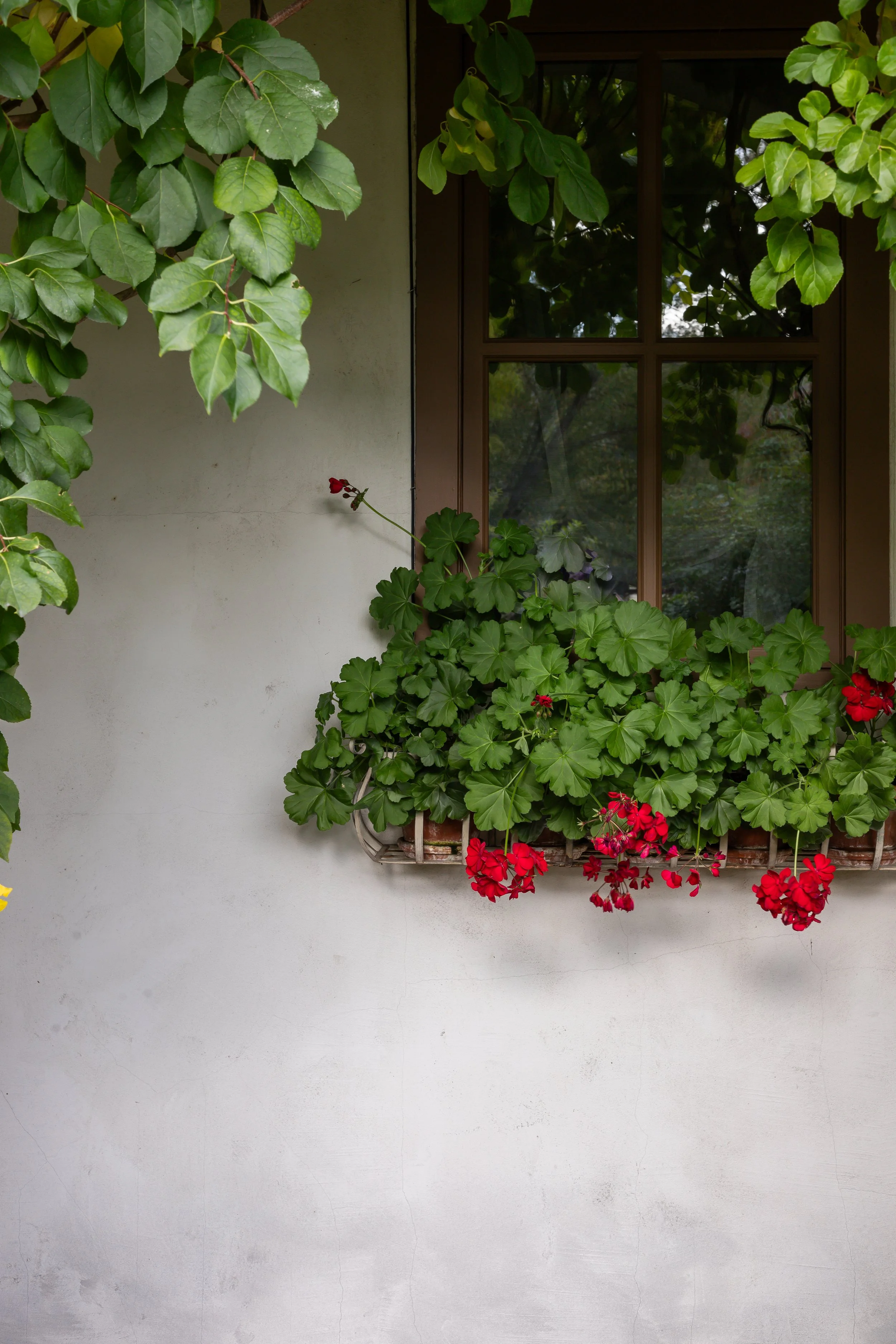 JardinesProject-321.jpg