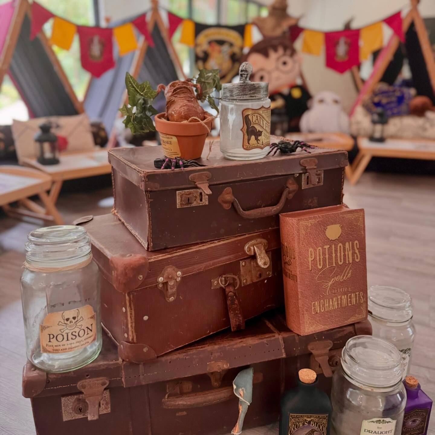 Harry Potter theme slumber for this gorgeous girl and 16 friends. 

#miniteepees #sleepoverparty #sleepover #minitents #theslumberboutique #harrypotter