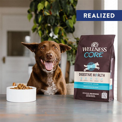 Wellness Pet