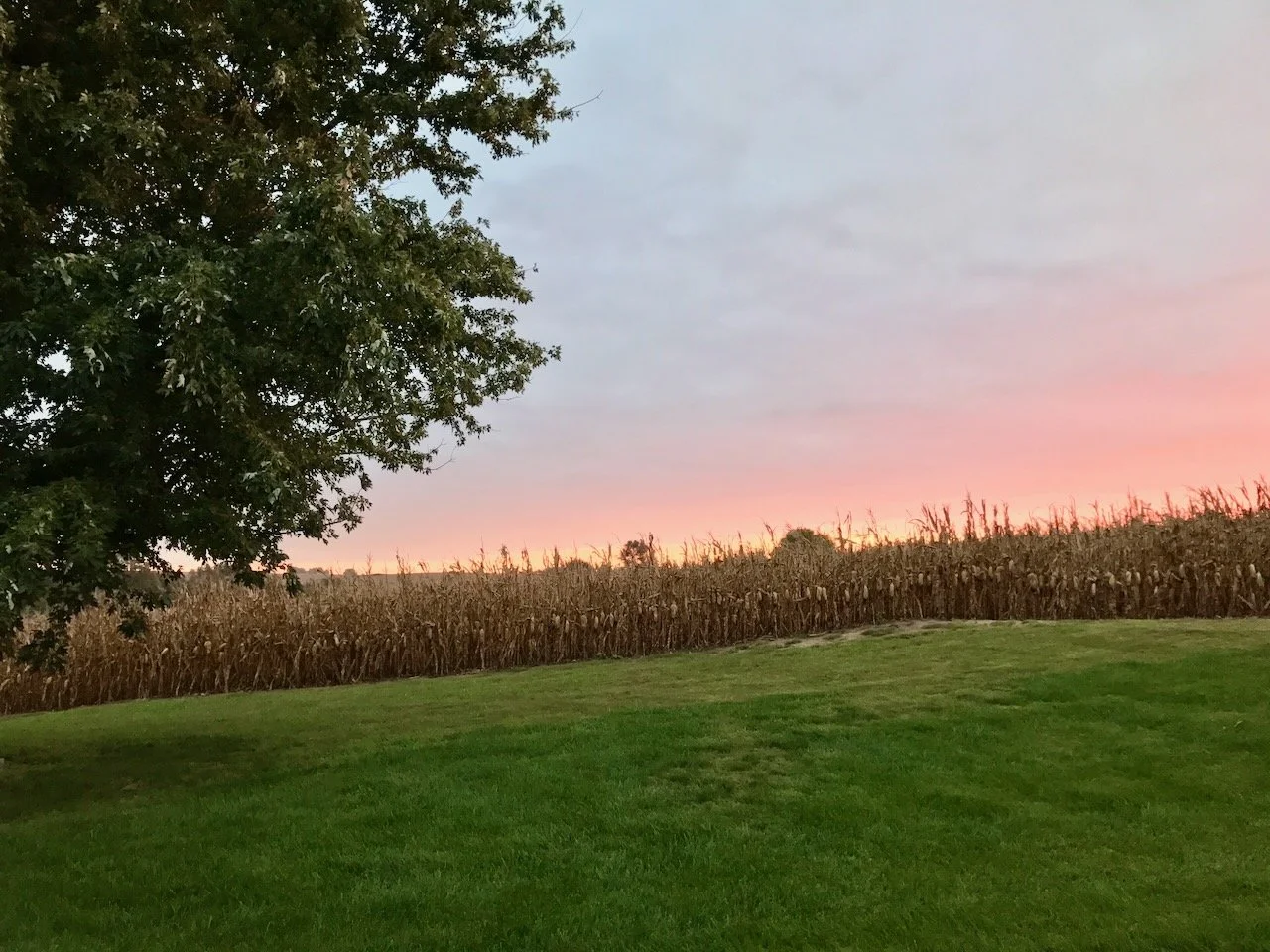 Creativity, AI, Brian Eno…and farming?