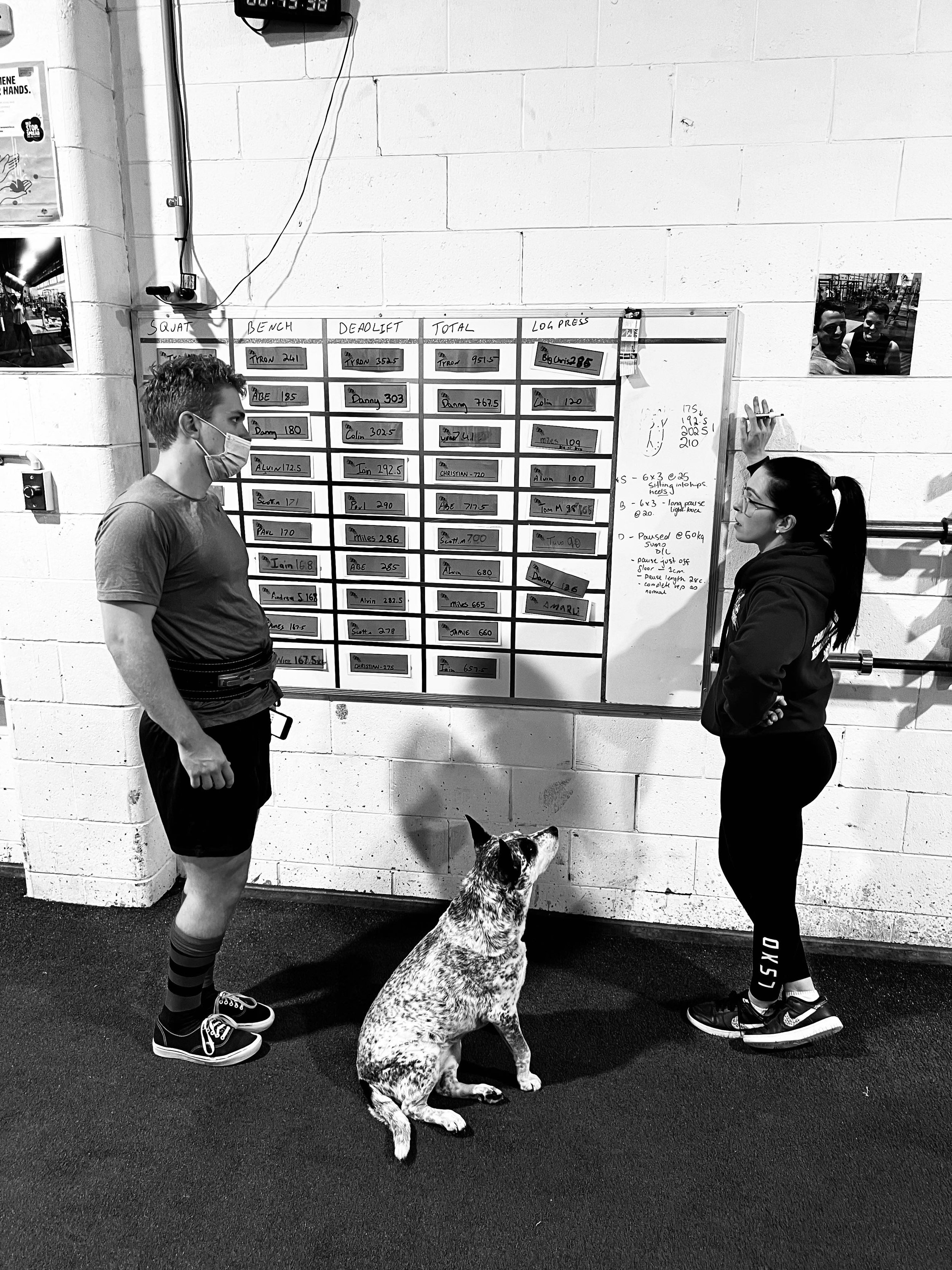 Working with my assistant coach Nala :)