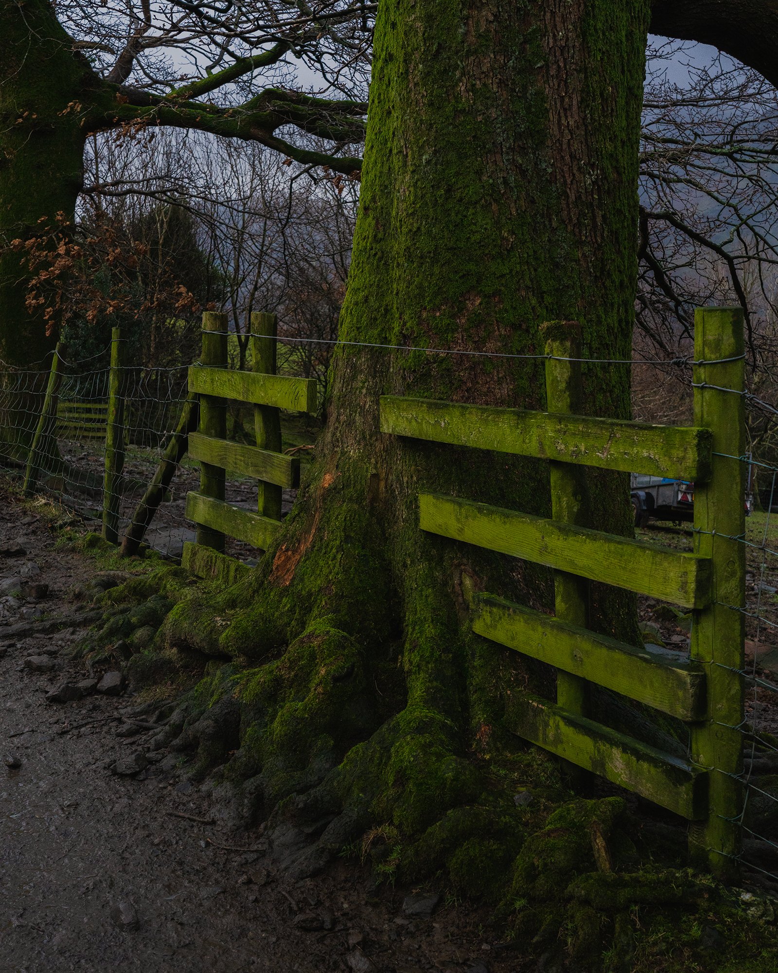 _DSC9100.jpg