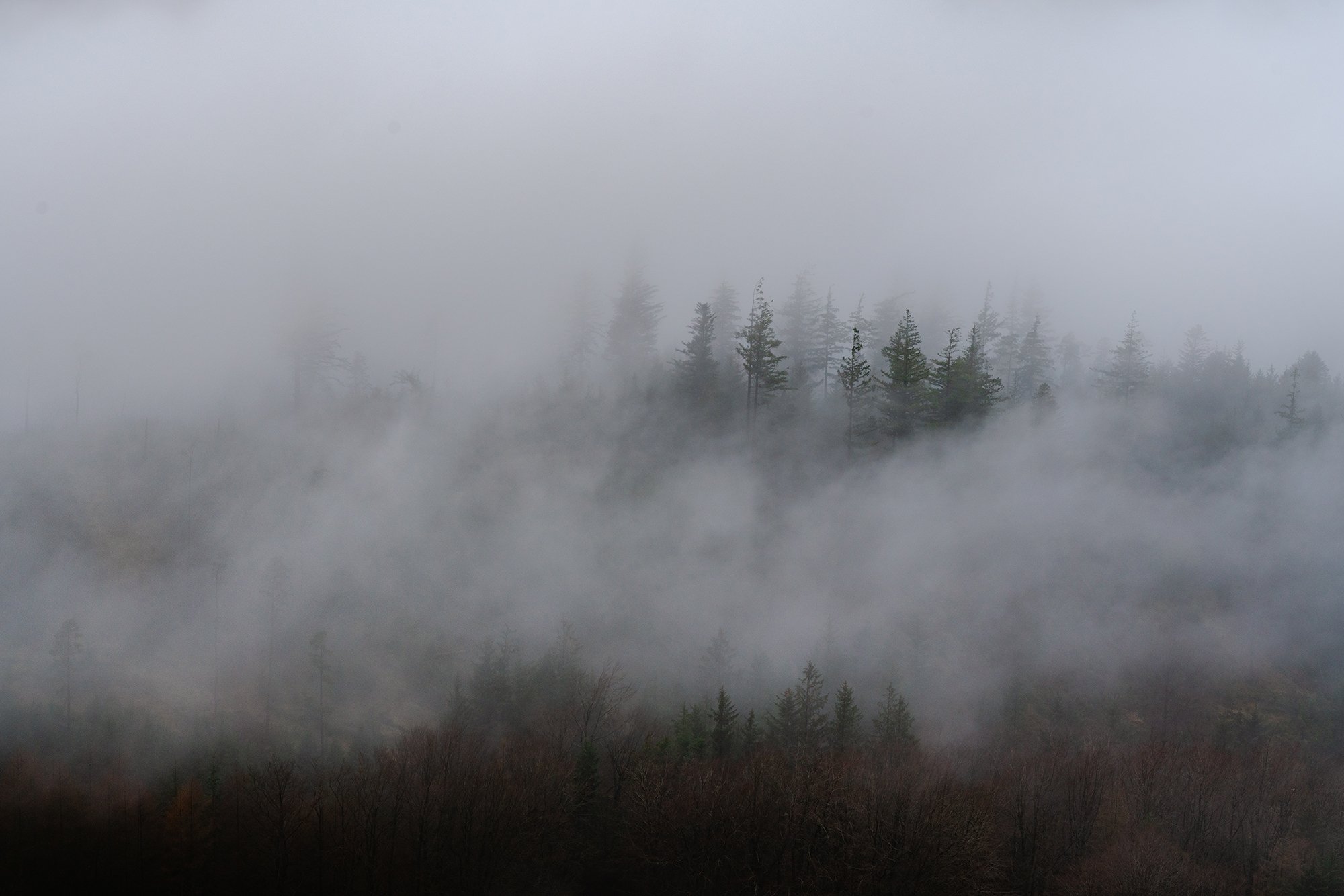_DSC9067.jpg