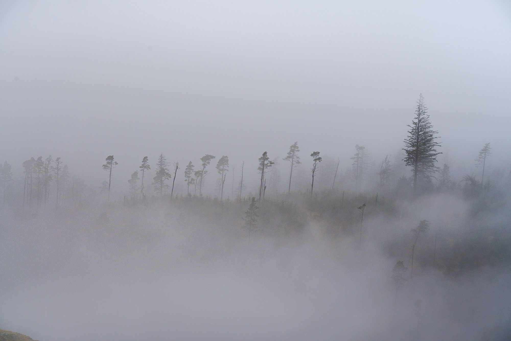 _DSC9063.jpg
