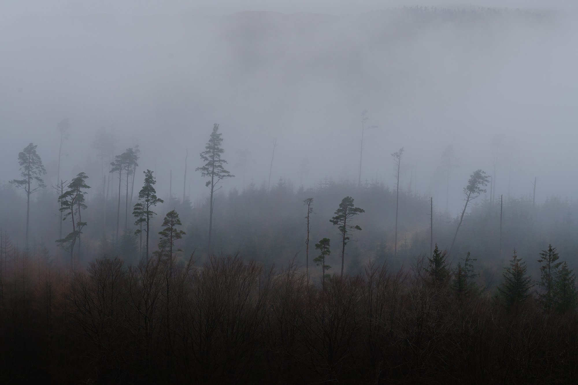_DSC9081.jpg