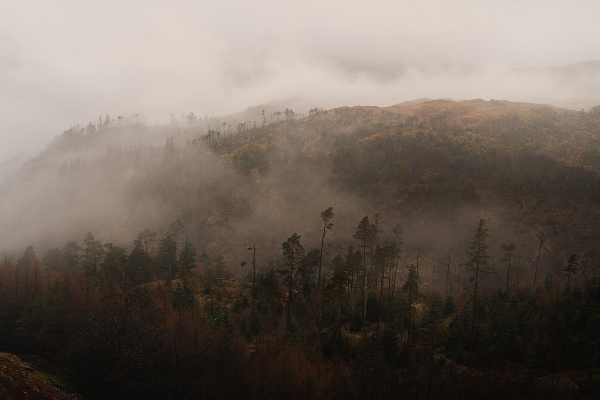 _DSC9040.jpg