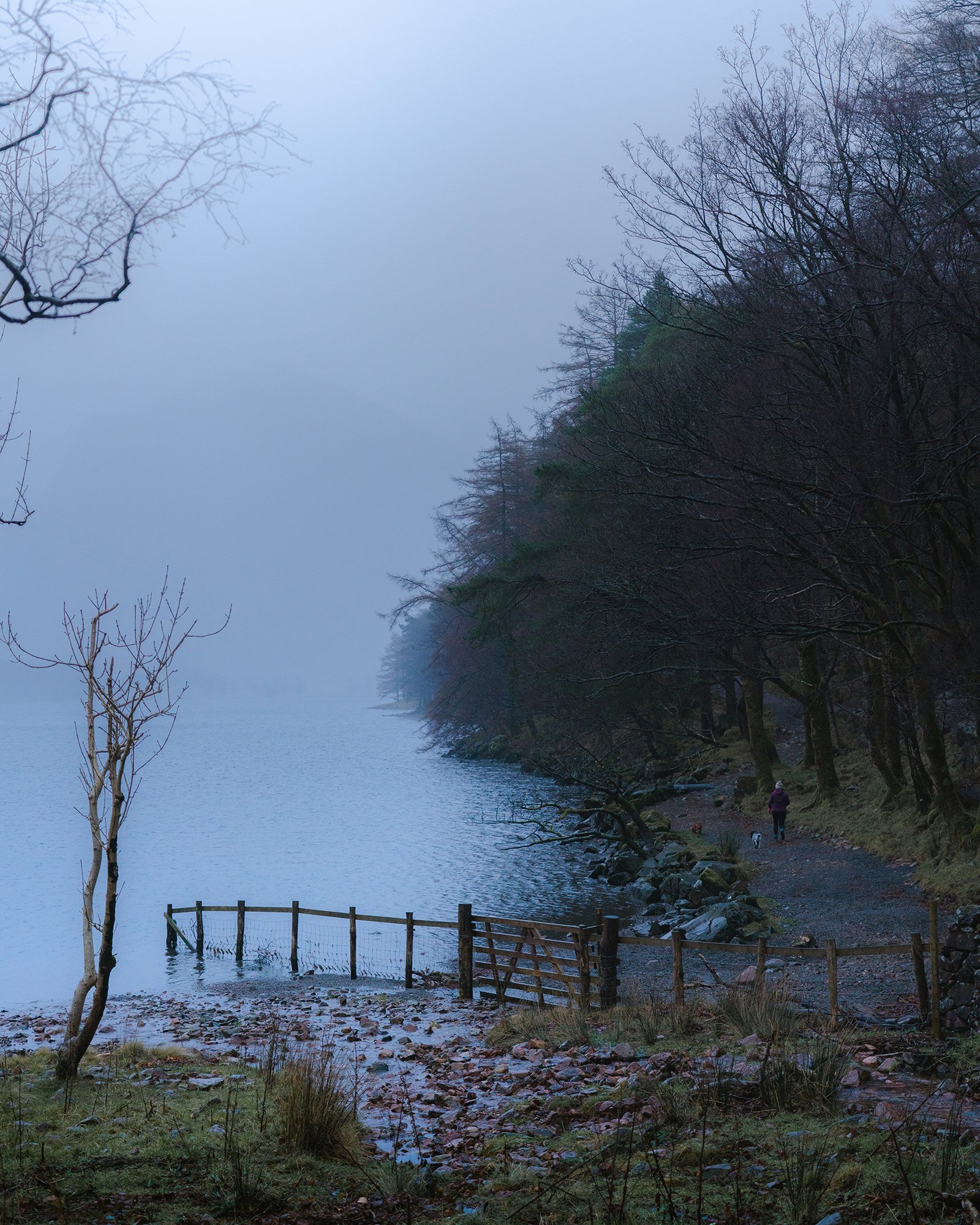 _DSC9142.jpg