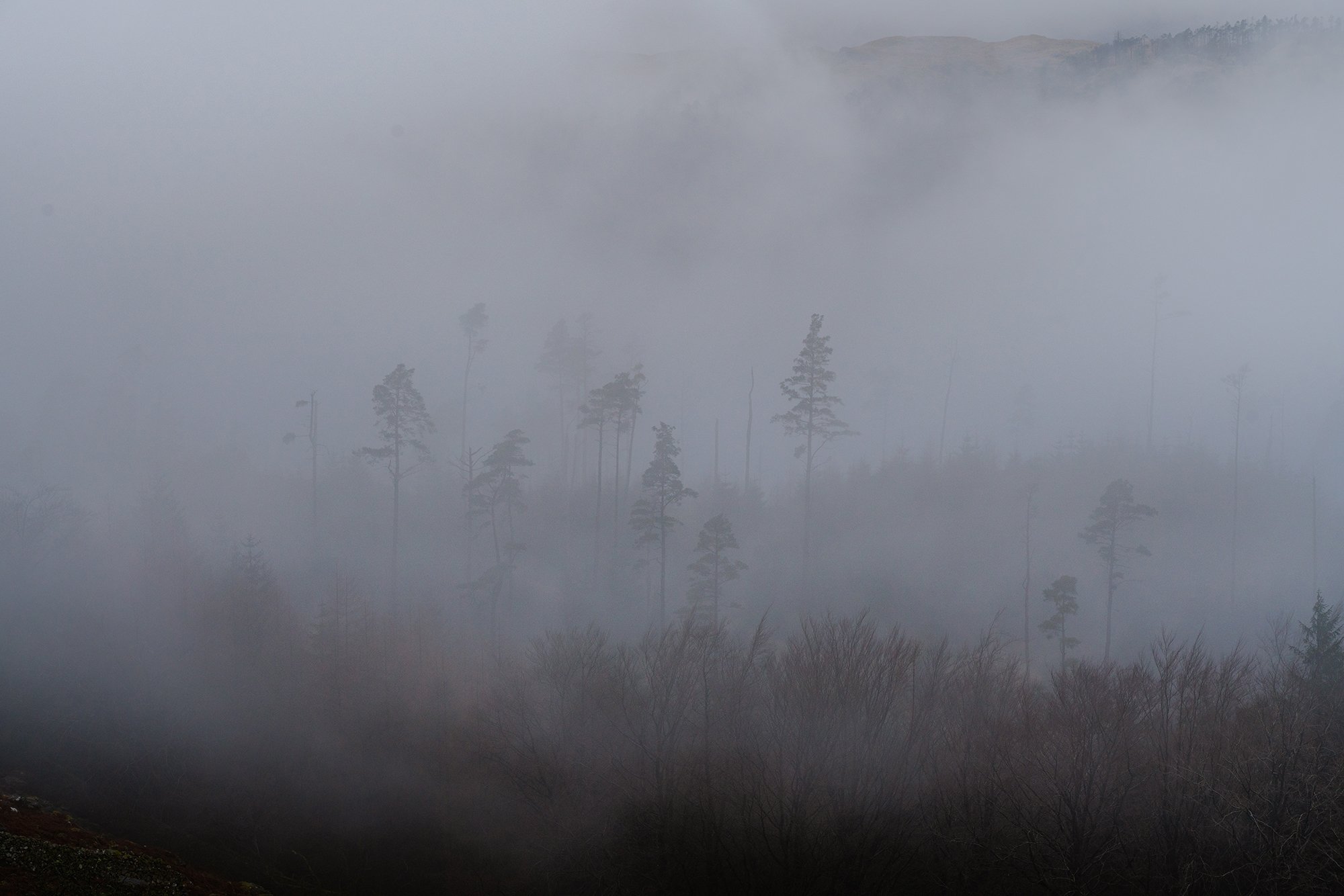 _DSC9075.jpg