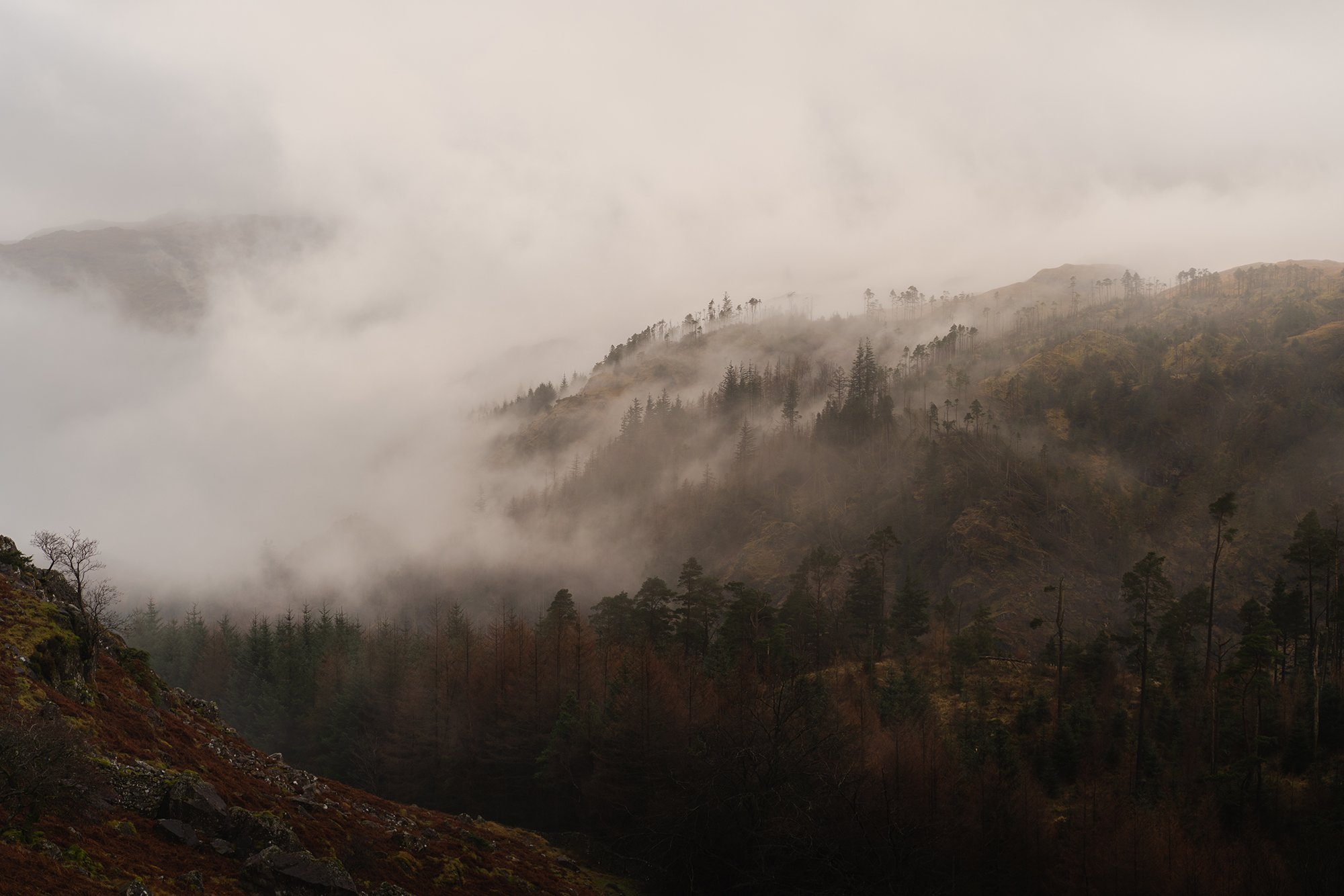 _DSC9034.jpg