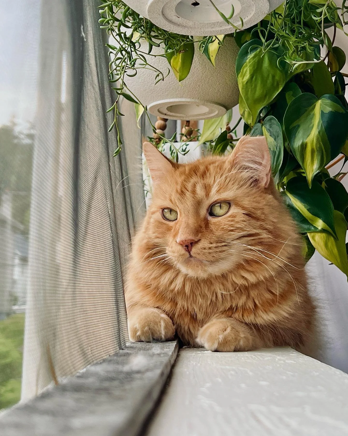 afternoon porch time with my logie pierogi :-)