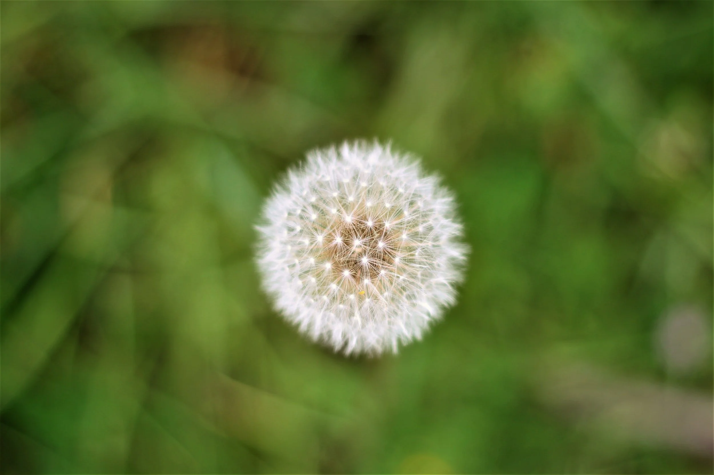 unsplash-image-kNaCIHmDlgw.jpg