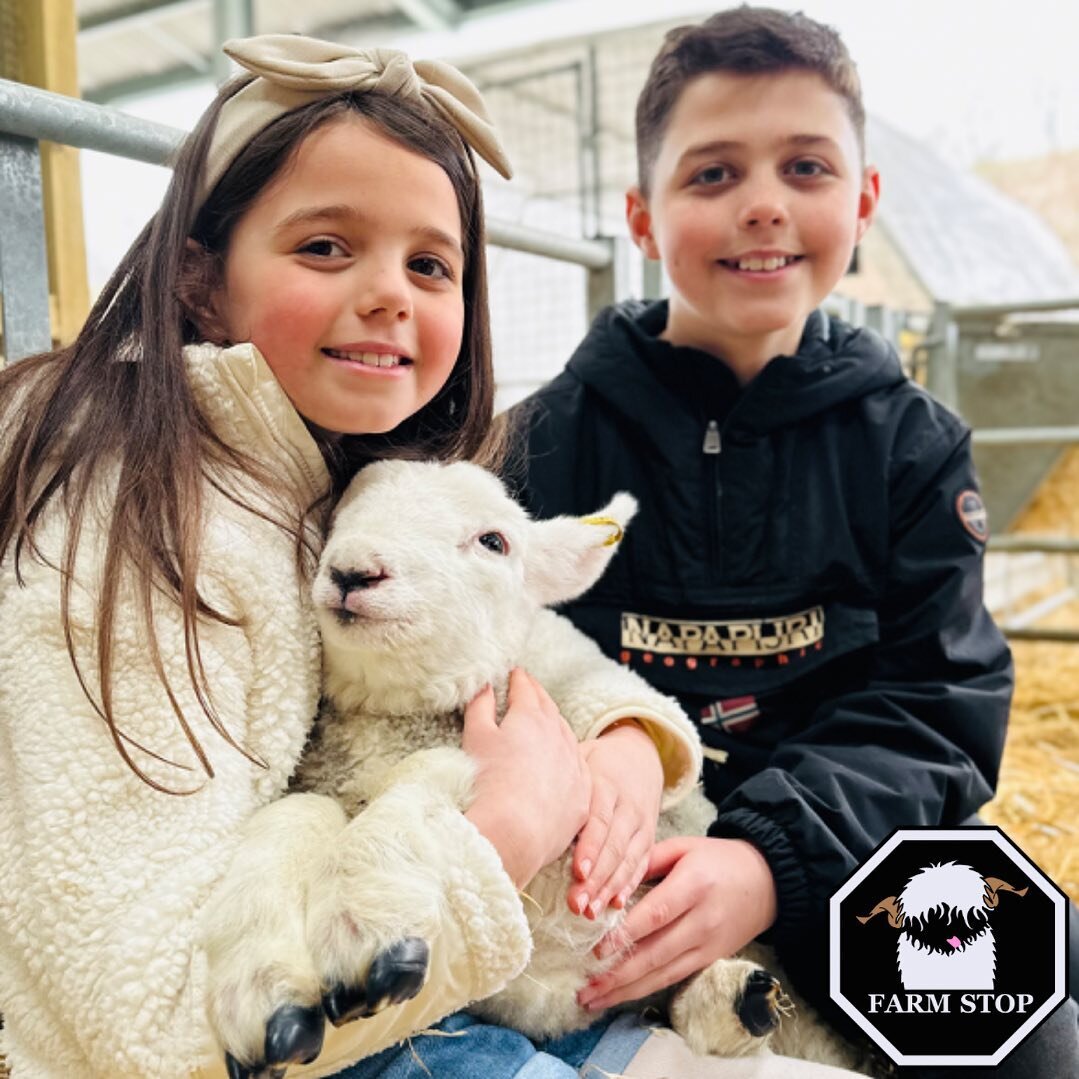 ❤️🐑 MAY DAY FARM VISIT! 🐑❤️

🐑 Includes some animal interaction points like meet the lambs, brush the guinea pigs, feed the pigs and cows 
🚜 Peddle tractors 
🐄 Life-sized model milking cow
💛 Sandpit with play diggers
🖼️ Colouring pictures 

Id