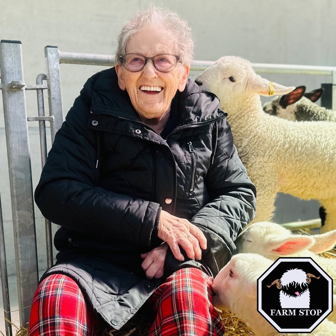 ❤️ 🐑 LAMB LOVE 🐑 ❤️

Animals are for all ages! 🥰 

🐑 www.farmstop.co.uk 🐑