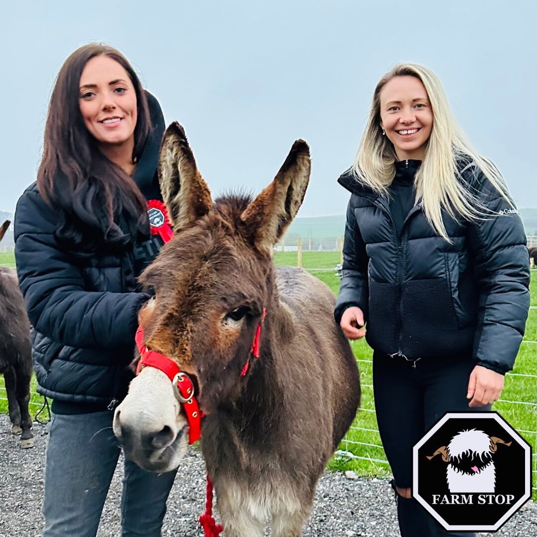 ❤️ BETSY ❤️

Betsy enjoying her walk and groom on one of our Adult Evenings 🥰 

🫏 www.farmstop.co.uk 🫏 

#farmstop #farmstopaberdeenshire #farmexperience #visitaberdeenshire #animallovers #animaltherapy