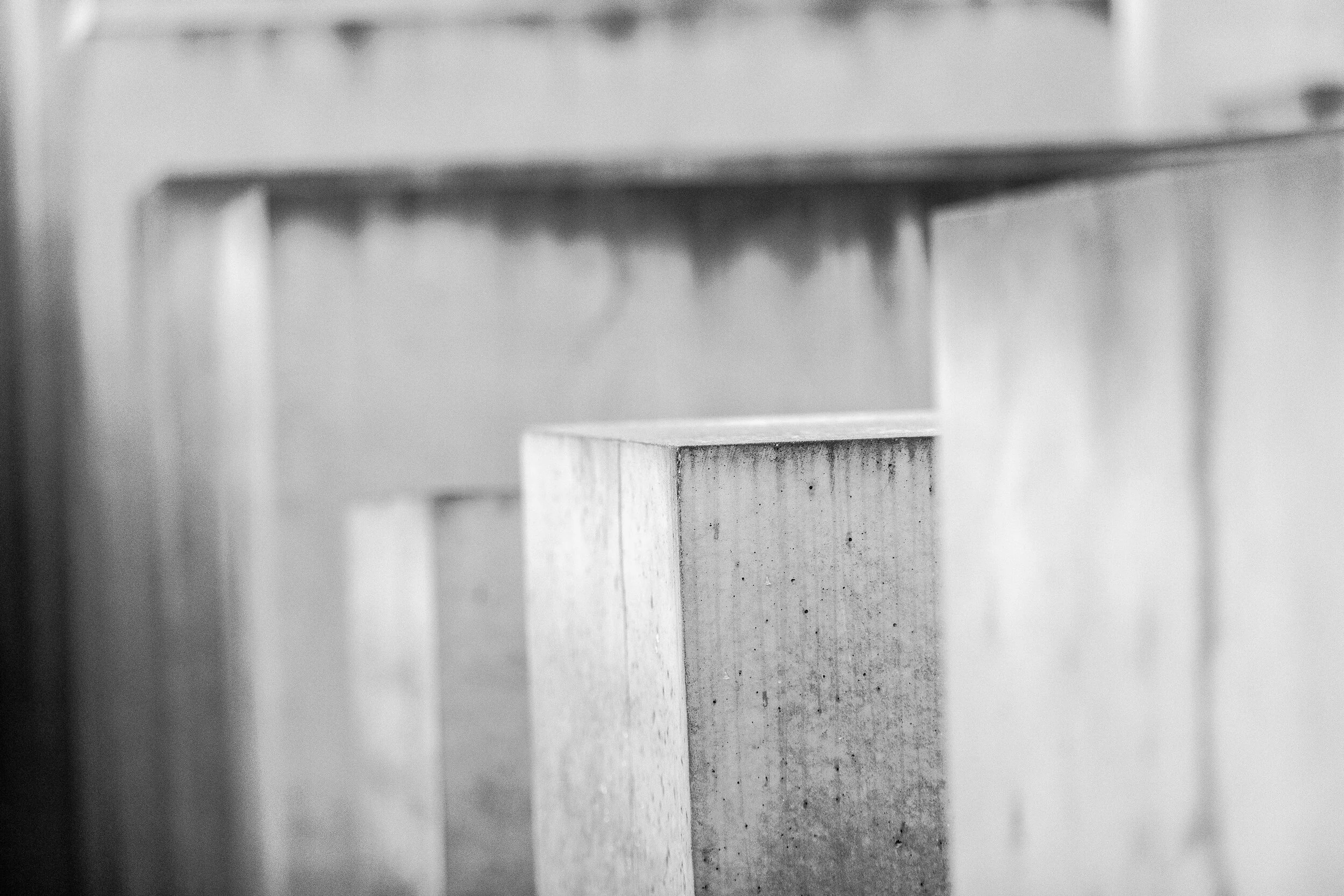 untitled-2 copy.jpg