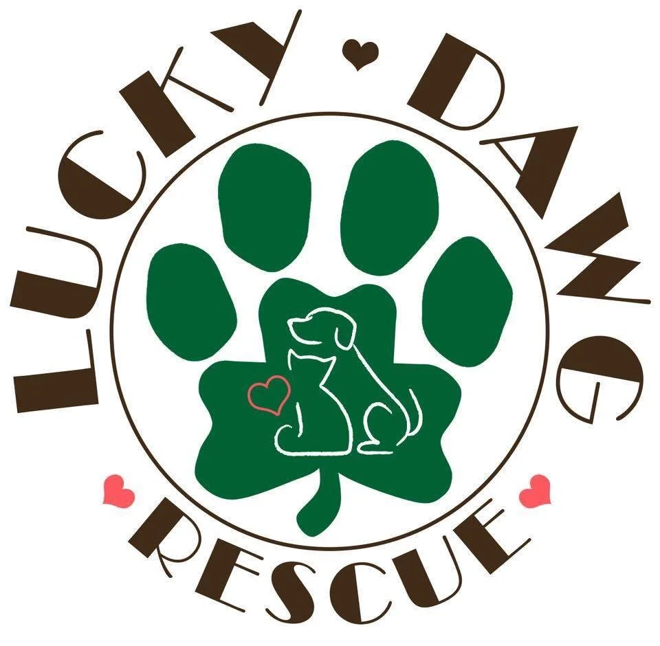 Yappy Hour W/ Lucky Dawg Rescue