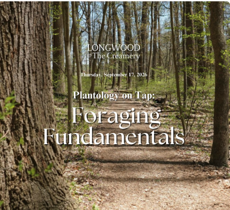 Plantology on Tap: Foraging Fundamentals