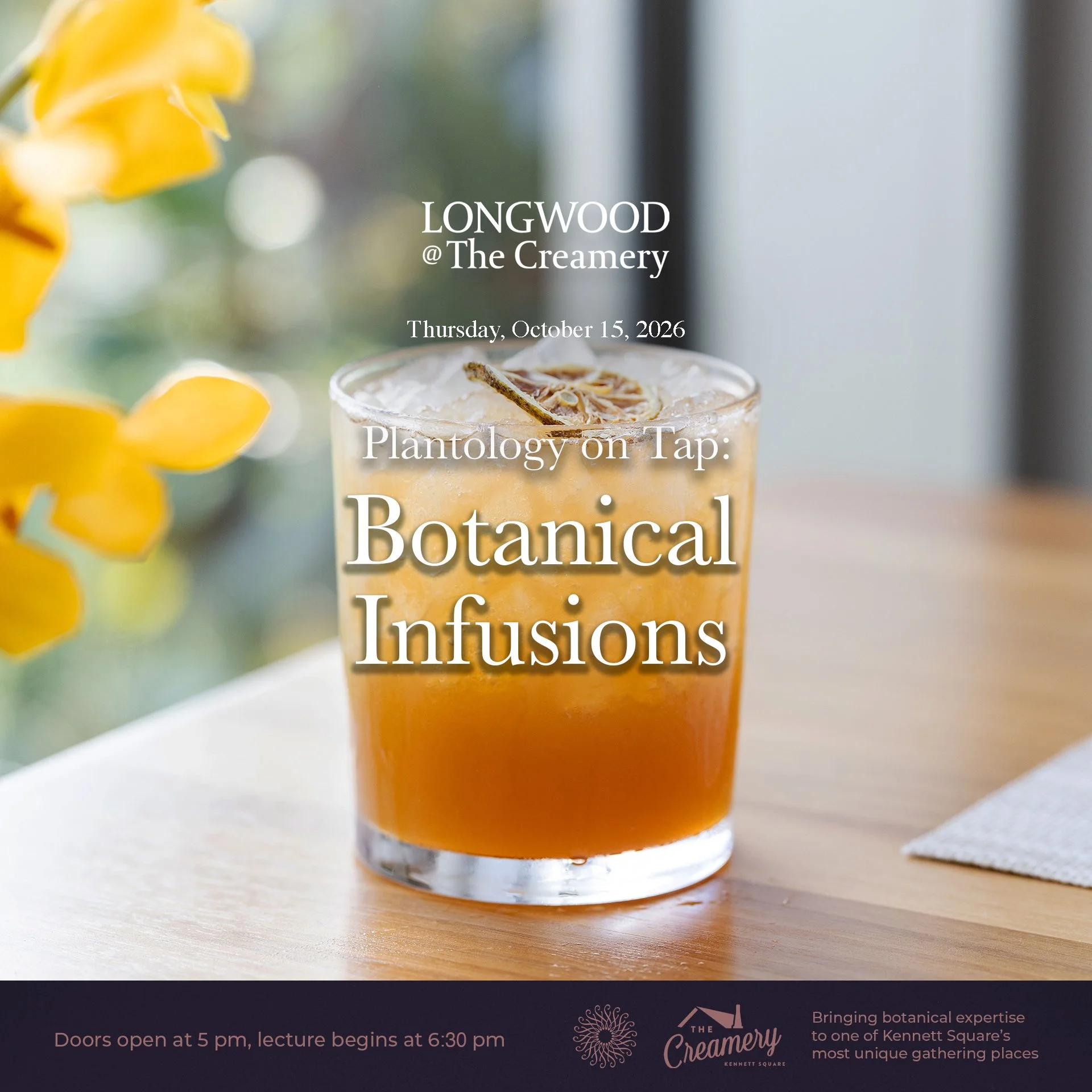 Plantology on Tap: Botanical Infusions