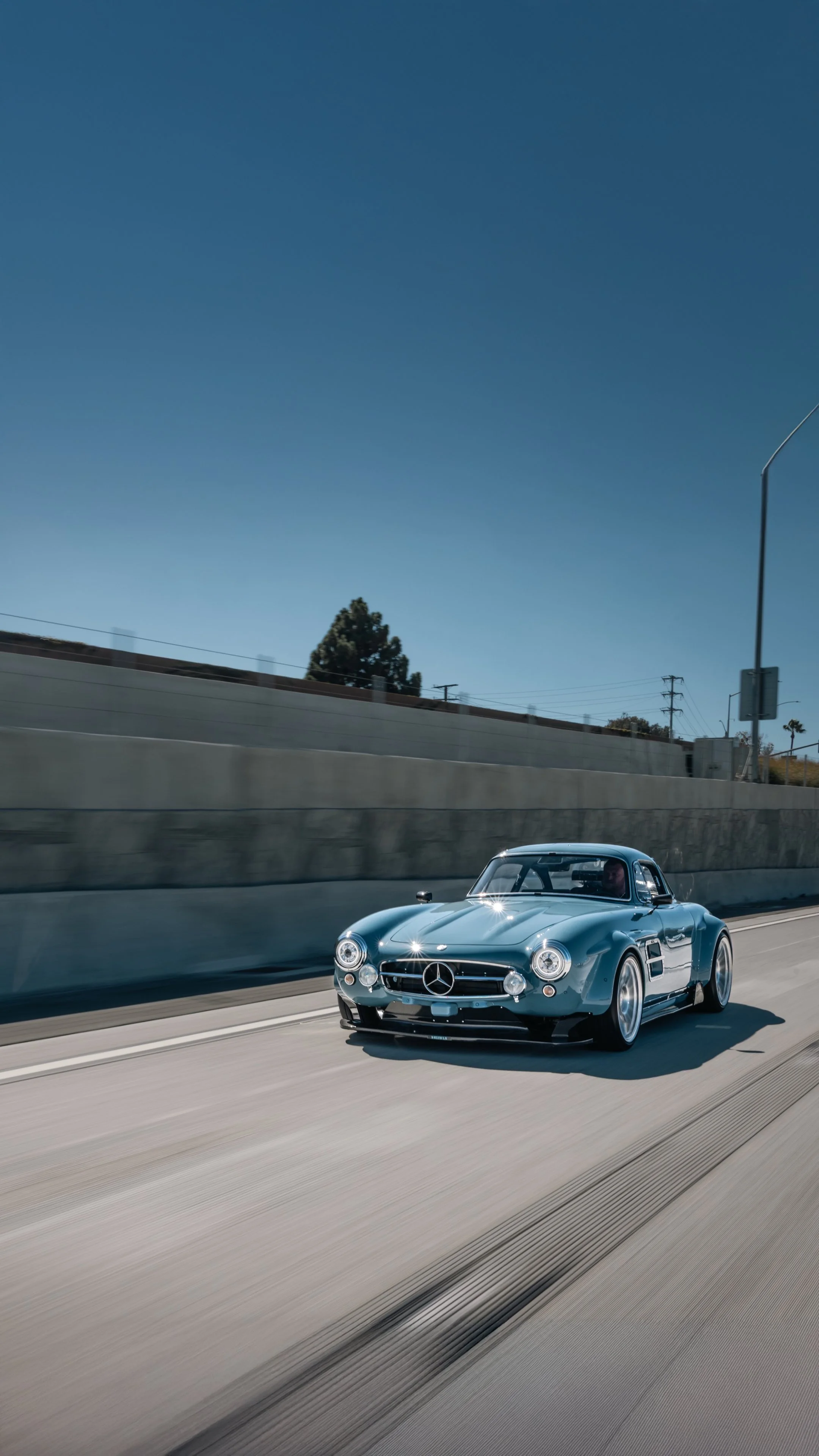 GULLWING_03.JPG