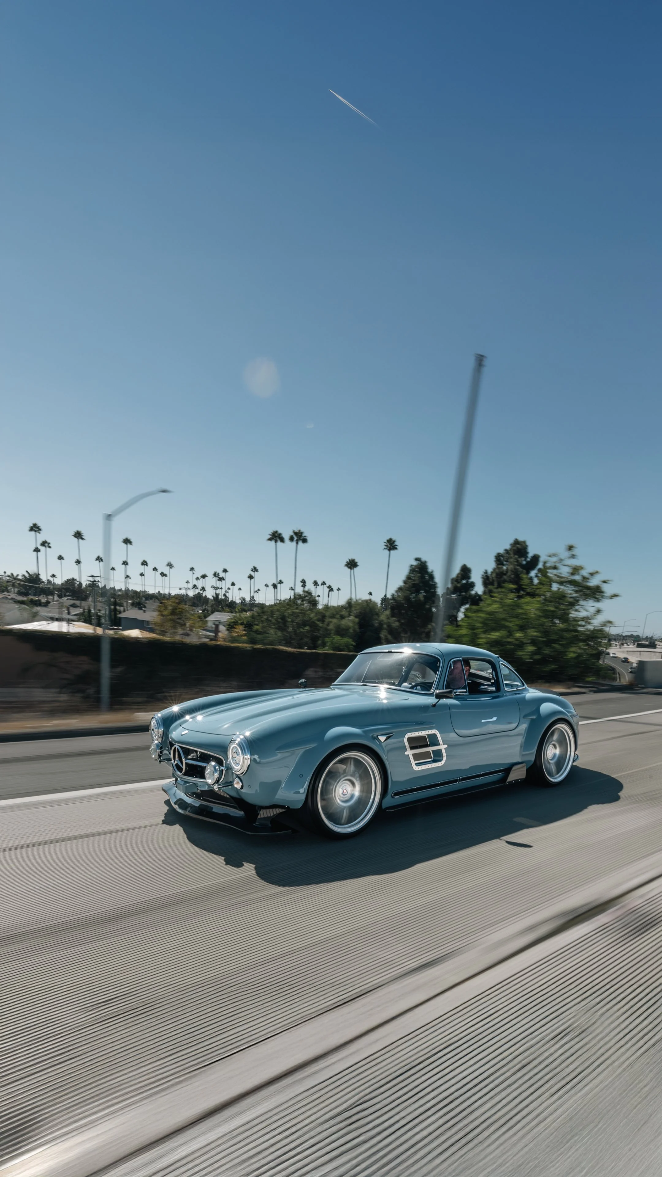 GULLWING_05.JPG
