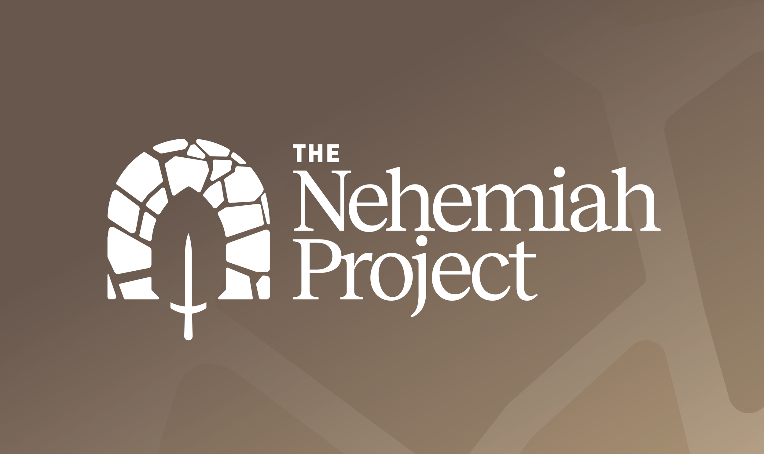 The Nehemiah Project cover