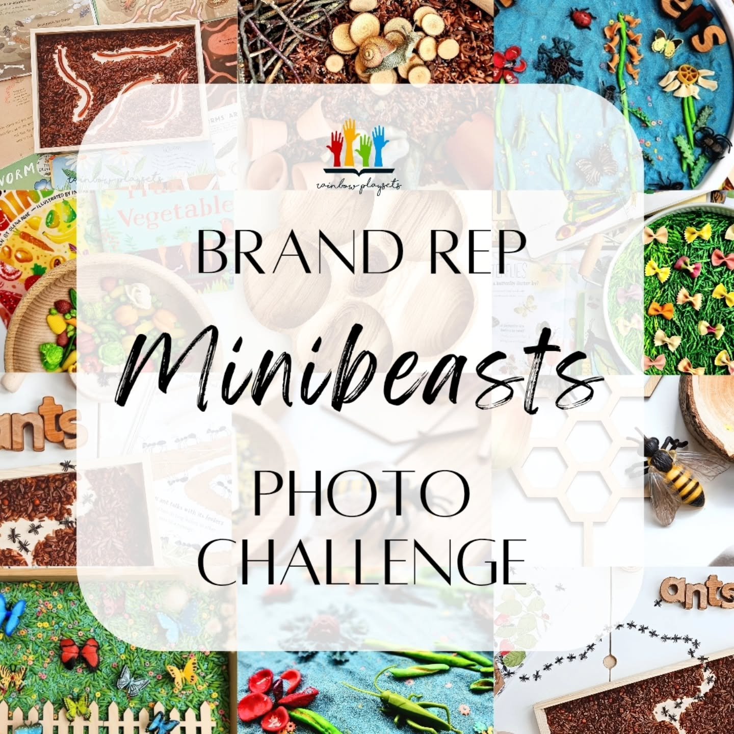 :🐞 Minibeasts Photo Competition 🪲
📸✨ Hosted with our amazing Brand Reps! 

We&rsquo;re so excited to share our latest Brand Rep Photo Competition! Each entry features our natural wooden resources and unique sensory bases - minibeast magic 🪲🐞😊 
