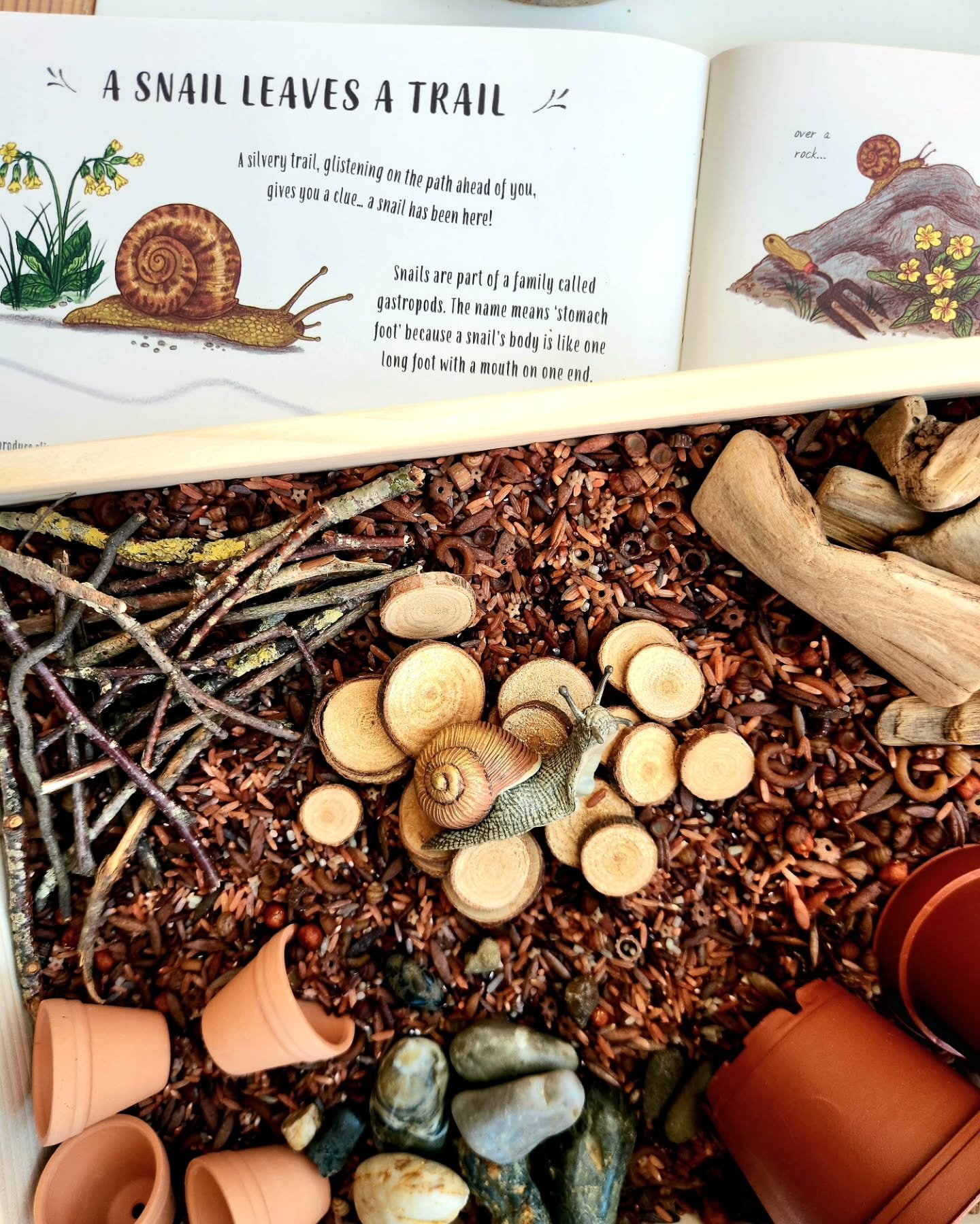'A snail leaves a trail'
A peak into snail&rsquo;s earthy home. Our new deep wooden tray is perfect for creating sensory scenes like this snail habitat, complete with our Under the ground base'
and real sticks, stones, and earthy textures.

Now avail