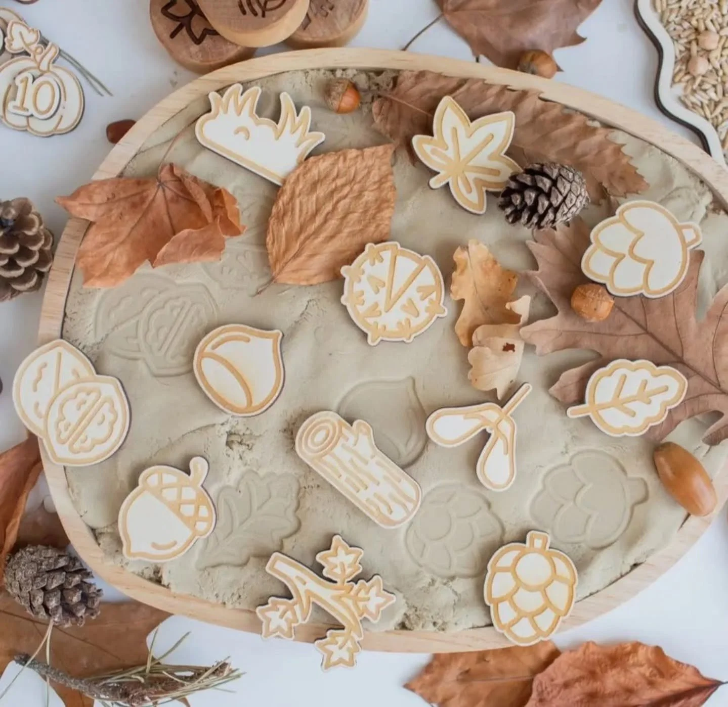 Our sweetest little autumn tokens have just arrived! Handcrafted from wood, they&rsquo;re perfect for open-ended play. Use them for counting, storytelling, language development or add them to playdough and kinetic sand adventures. A beautiful start t