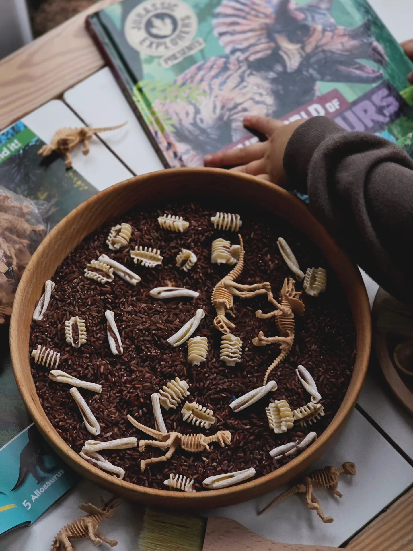 🦕 let little explorers dig, scoop and discover! our dino dig sensory base is perfect for prehistoric play and hands-on learning.
available at www.rainbowplaysets.co.uk

#dinoplay #sensoryplay #sensorytray #dinodig #invitationtoplay