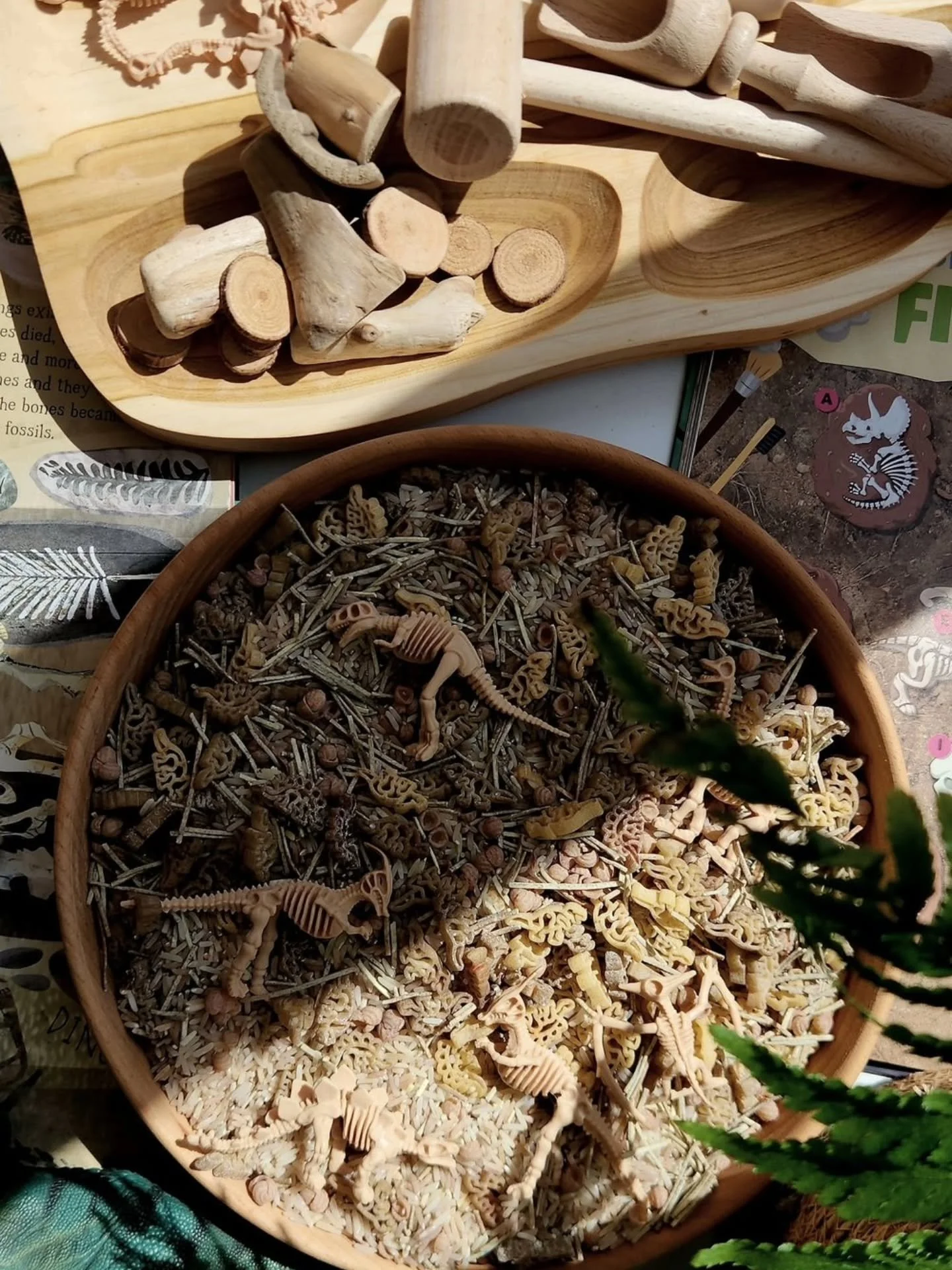 🌟 Back in Stock! Our Dino Fossils Sensory Base &ndash; Bestseller now available in two sizes! is ready to roar back into your sensory trays! 🦖 Unearth prehistoric fun with earthy tones, hidden pasta dinos and fossil treasures &ndash; perfect for li
