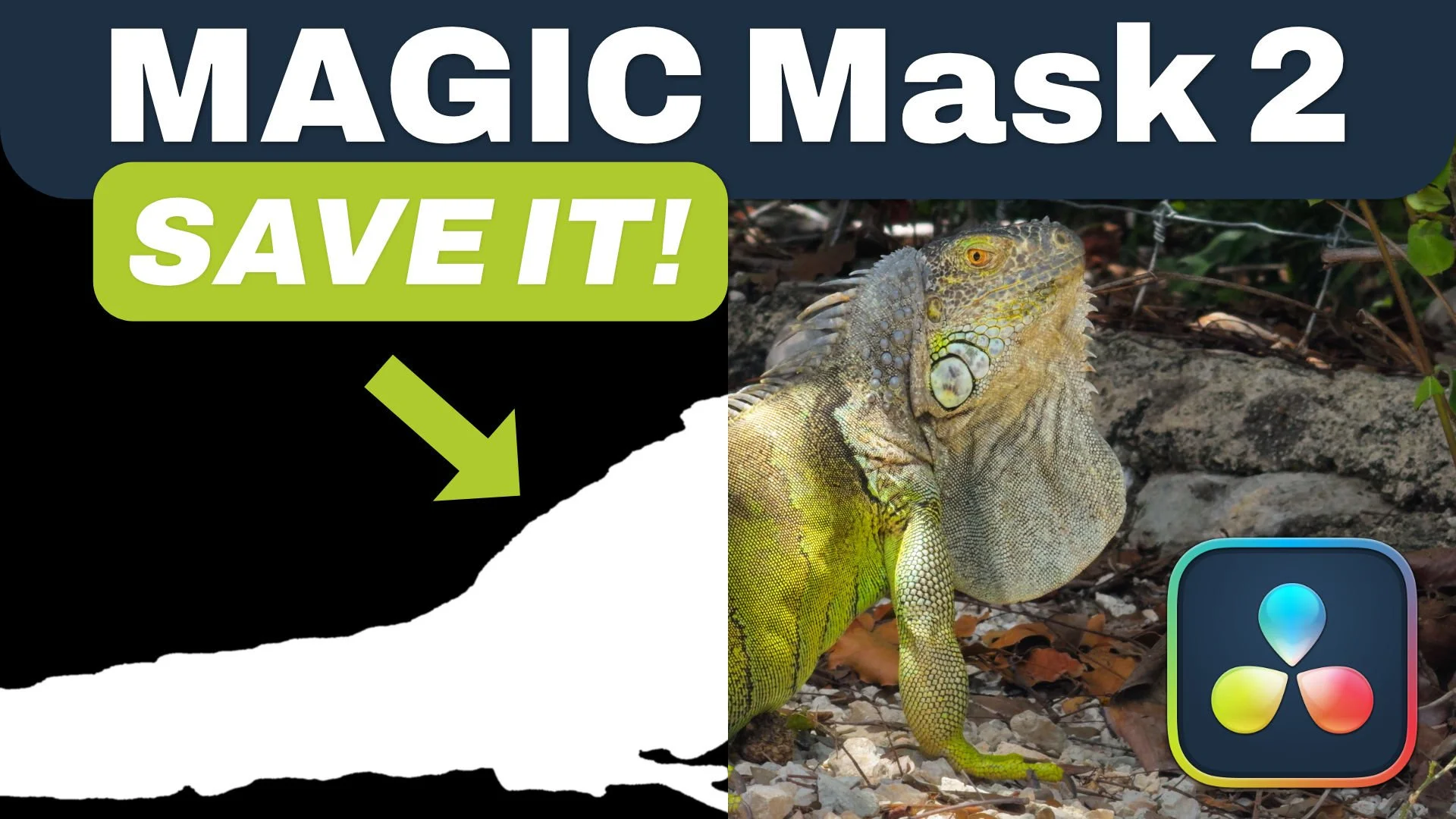 Never Retrack Magic Mask
